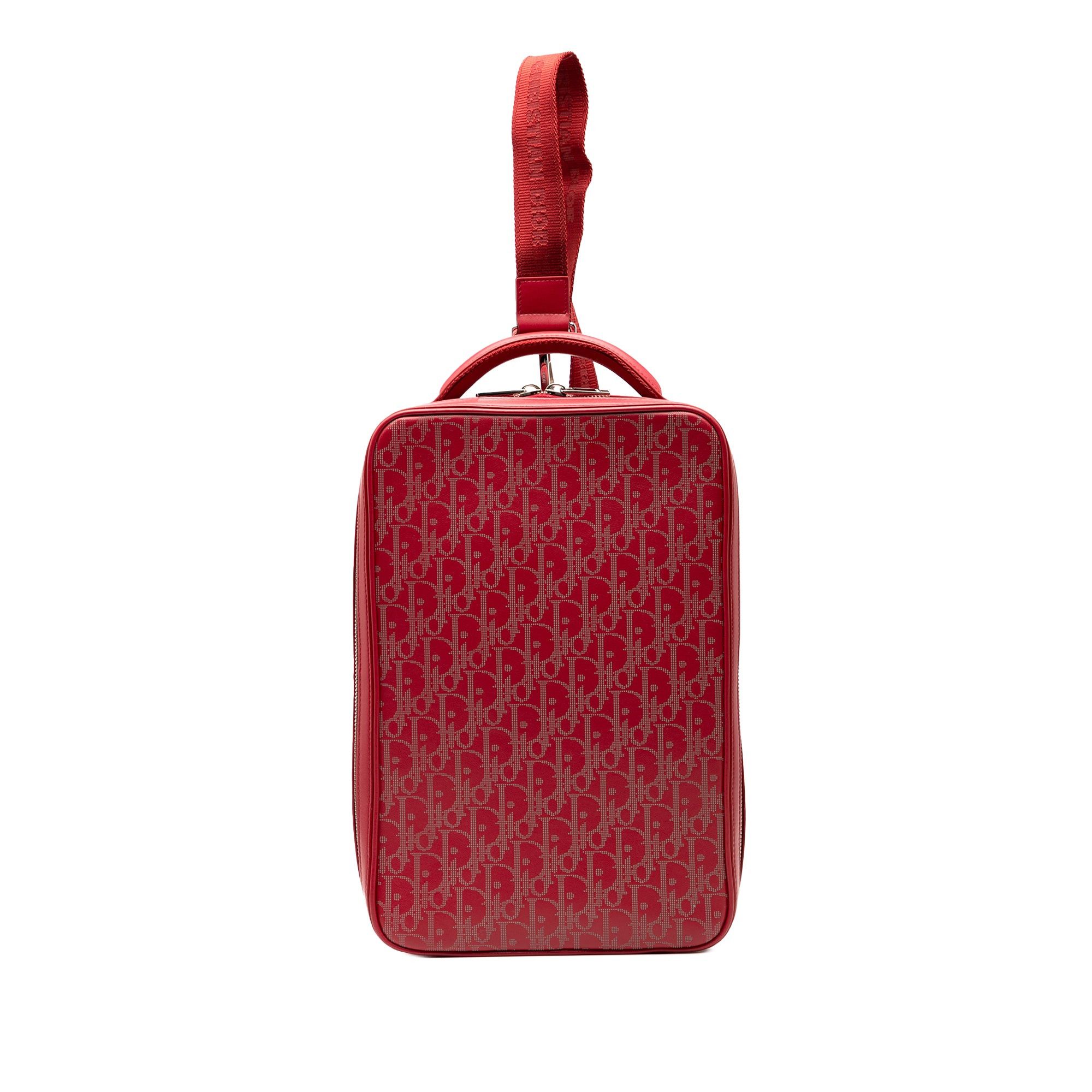 Dior Oblique Perforated Calfskin Galaxy World Tour Shoe Case Size ONE SIZE - 1 Thumbnail