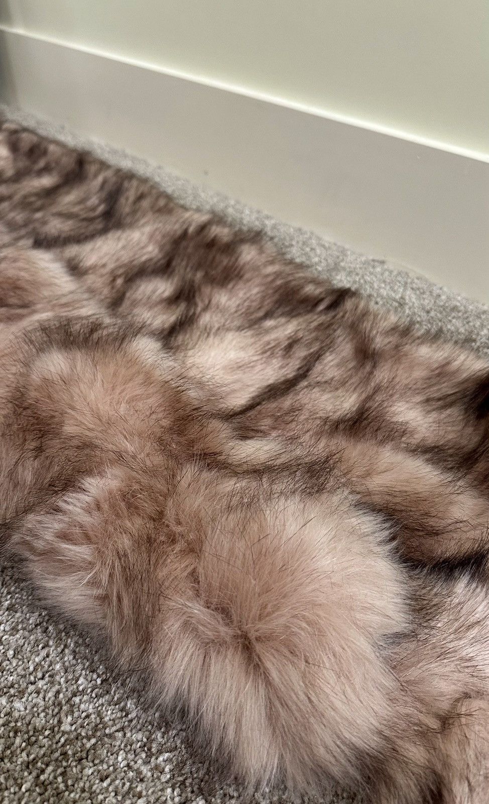 Other Faux Fur Size ONE SIZE - 1 Thumbnail
