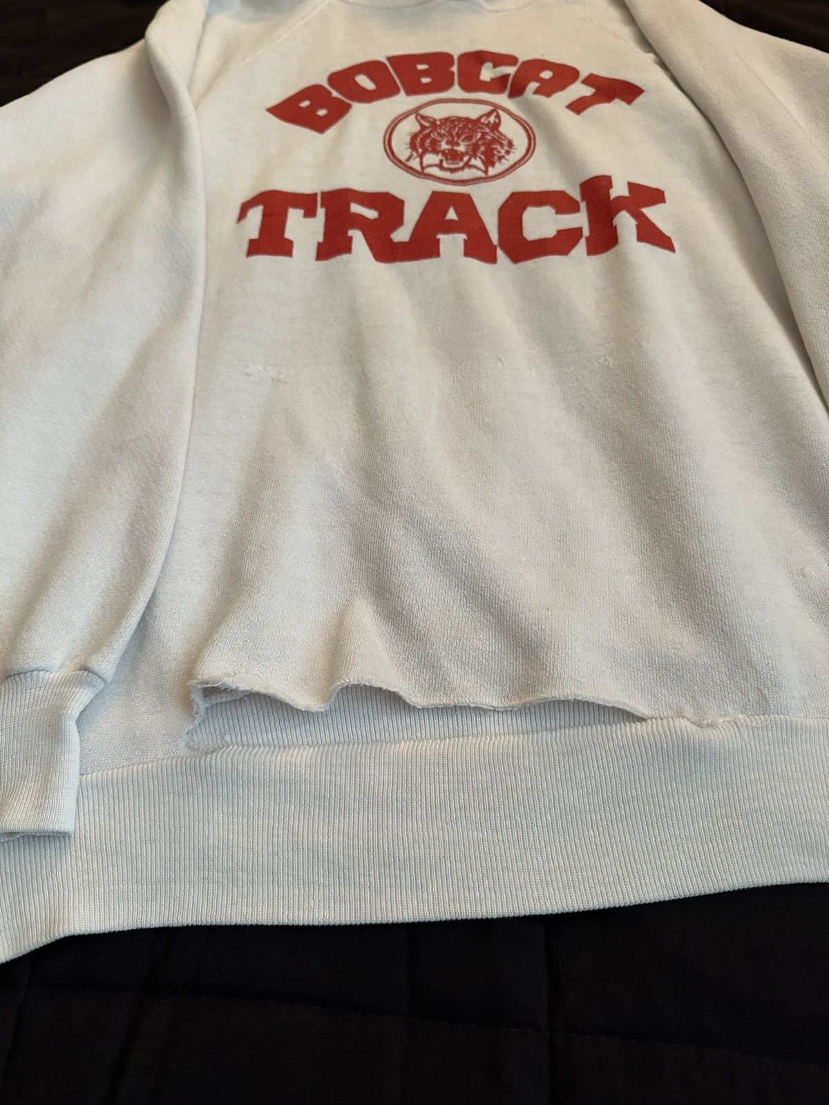 Russell Athletic × Vintage Vintage Hoodie 70s 80s 90s Size US L / EU 52-54 / 3 - 6 Thumbnail