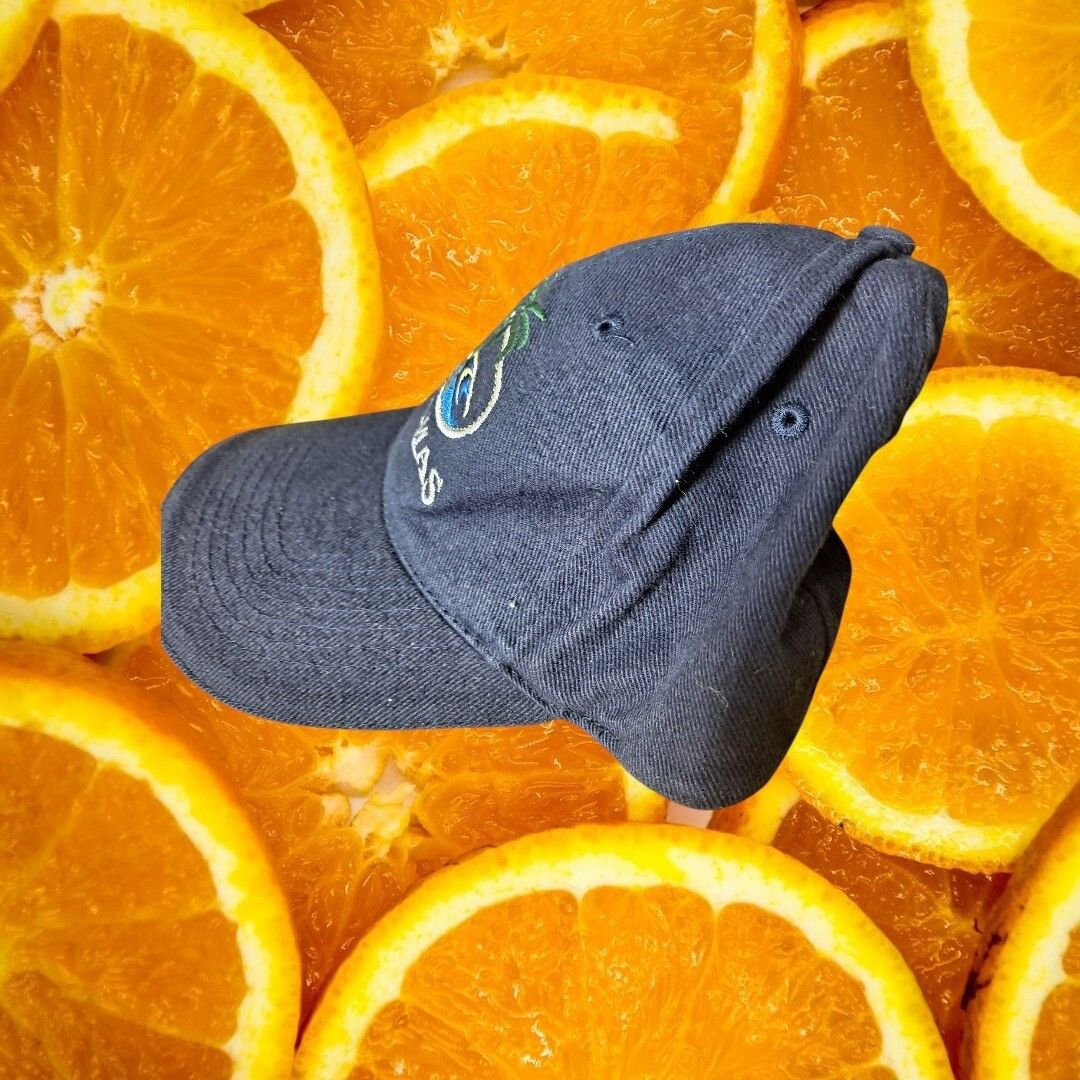 Other Best Activewear Bahamas Hat Palm Tree Embroidered Graphic Ca Size ONE SIZE - 3 Thumbnail