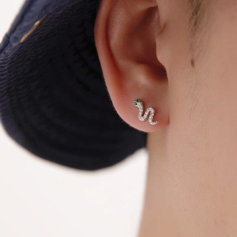 Diamond Earrings x Jewelry Snake Crazy Earrings One Pairs Chrome Jewelry in Silver, Men's