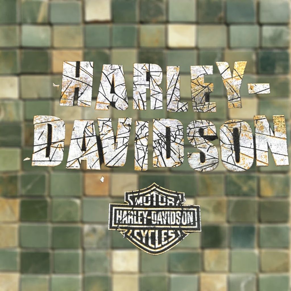 Harley Davidson Harley-Davidson Shirt Adult 2XL Black Motorcycle Logo Biker Men's 2019 Shirt Size US XXL / EU 58 / 5 - 1 Thumbnail
