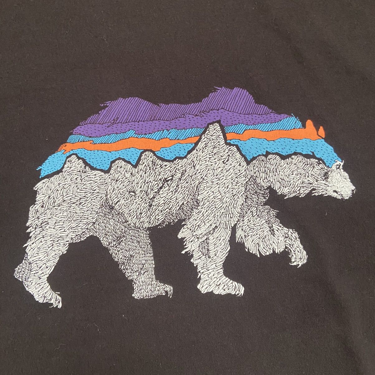 Patagonia Patagonia Bear Logo Gorpcore Hiking T-Shirt Men’s Medium Size US M / EU 48-50 / 2 - 5 Thumbnail