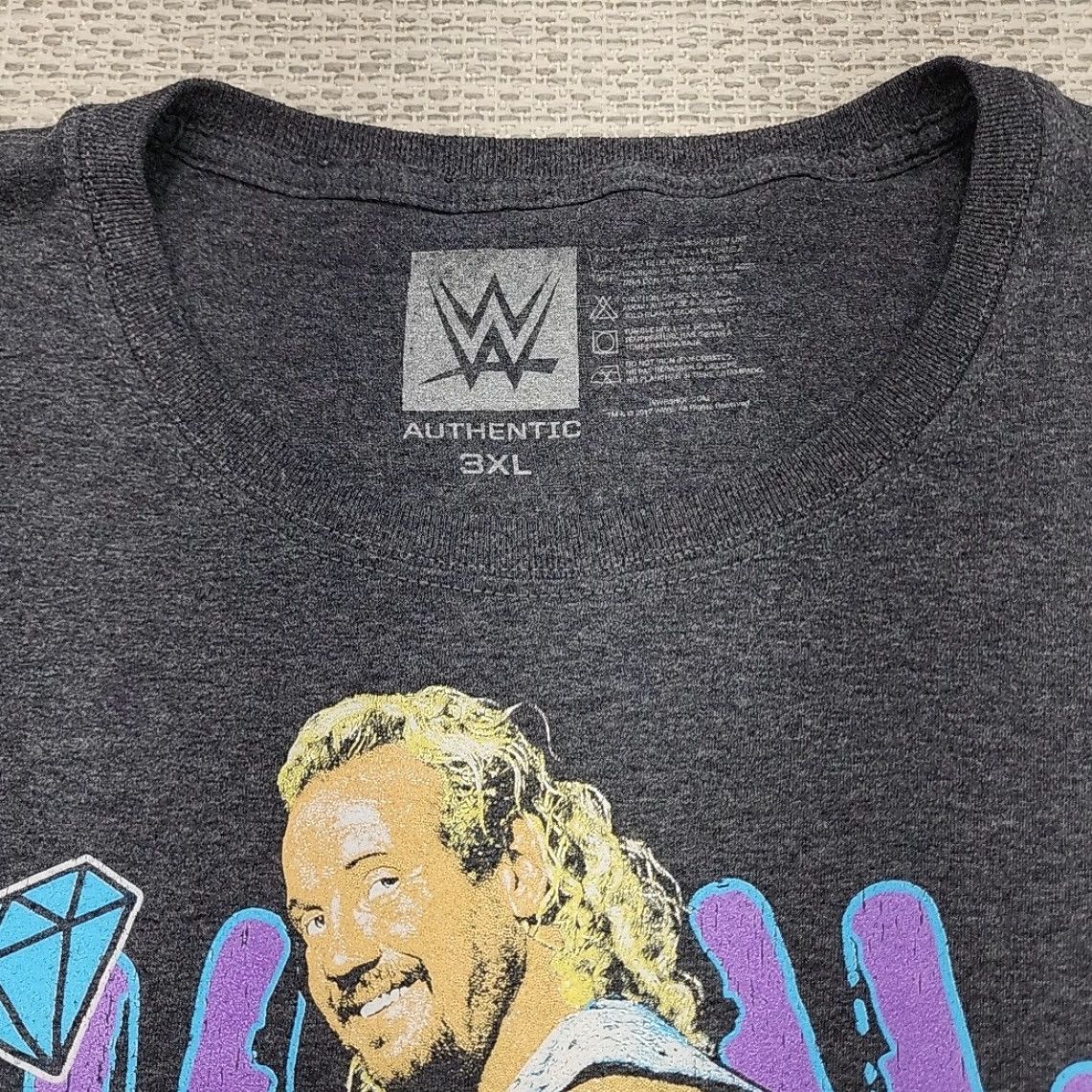 Vintage WCW WWE Diamond Dallas Page Tee Shirt Mens 3XL Gray Short Sleeve T-Shirt Graphic Print WWE Graphic Tee Shirt Mens 3XL Gray Short Sleeve Size US XXL / EU 58 / 5 - 5 Thumbnail
