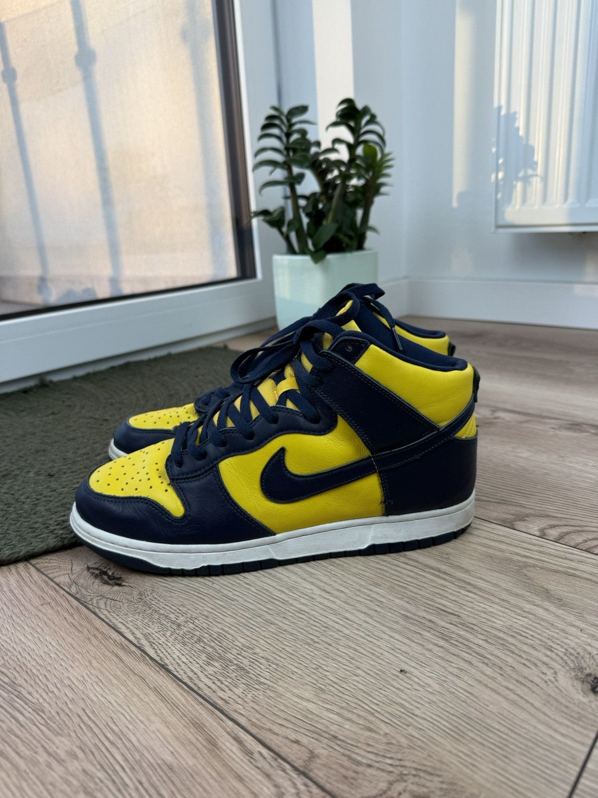 Nike Dunk Michigan Streetwear shoes
