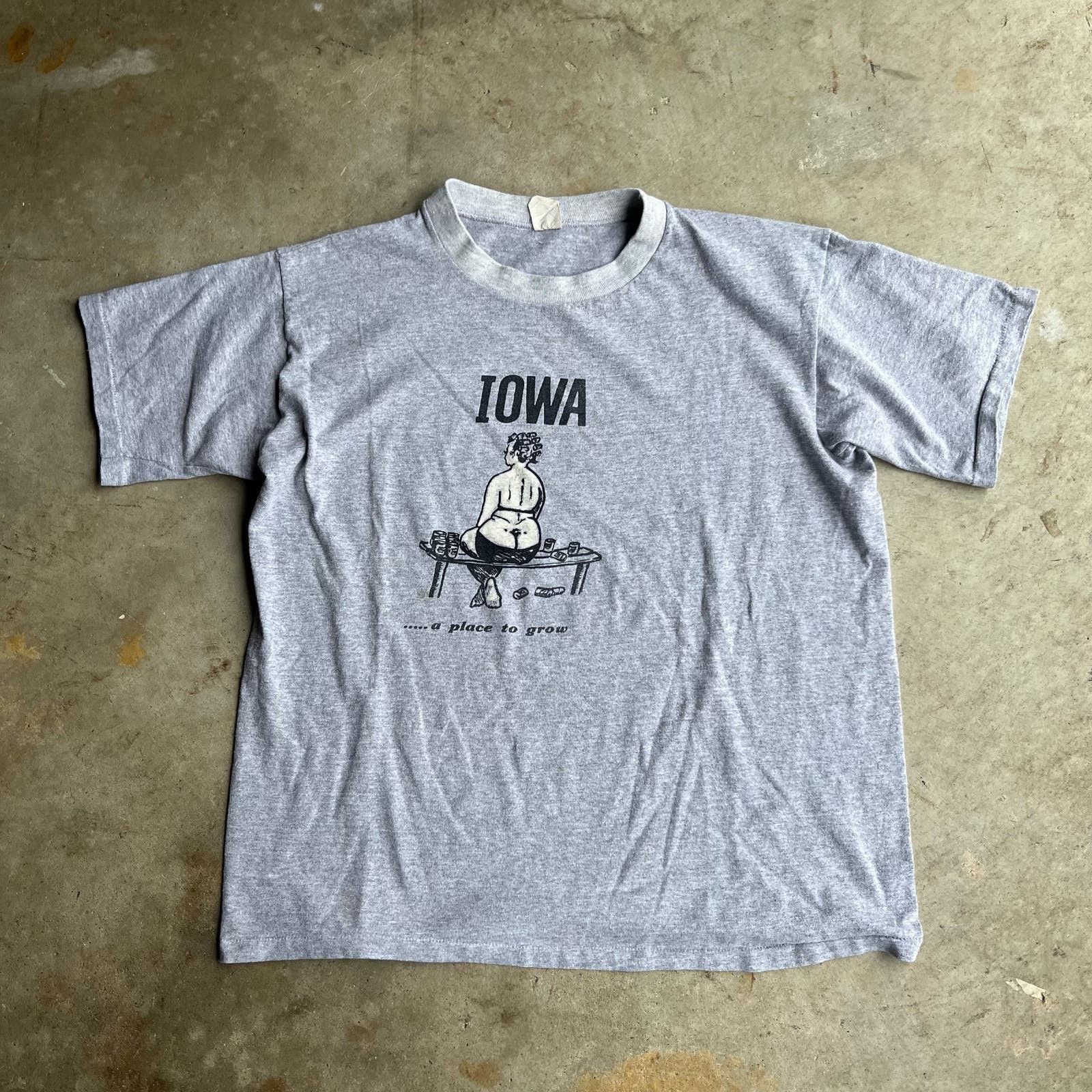 image of Vintage Edgy Iowa A Place To Grow Nudity Vulgar Sex Joke Tee in Grey, Men's (Size XL)