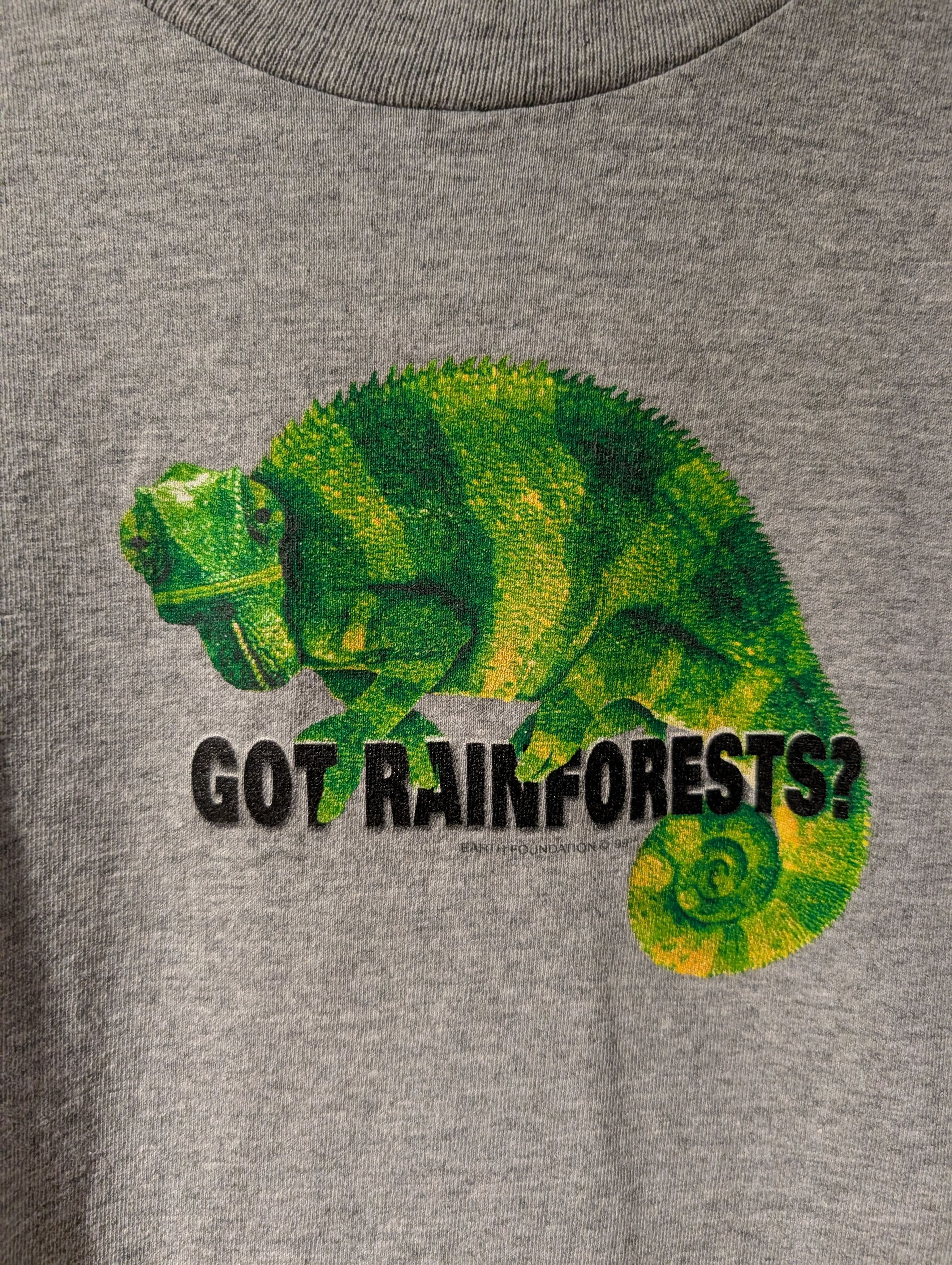 Arts & Science Vintage 1999 Earth Foundation Iguana Rainforest T-Shirt Size US L / EU 52-54 / 3 - 2 Thumbnail