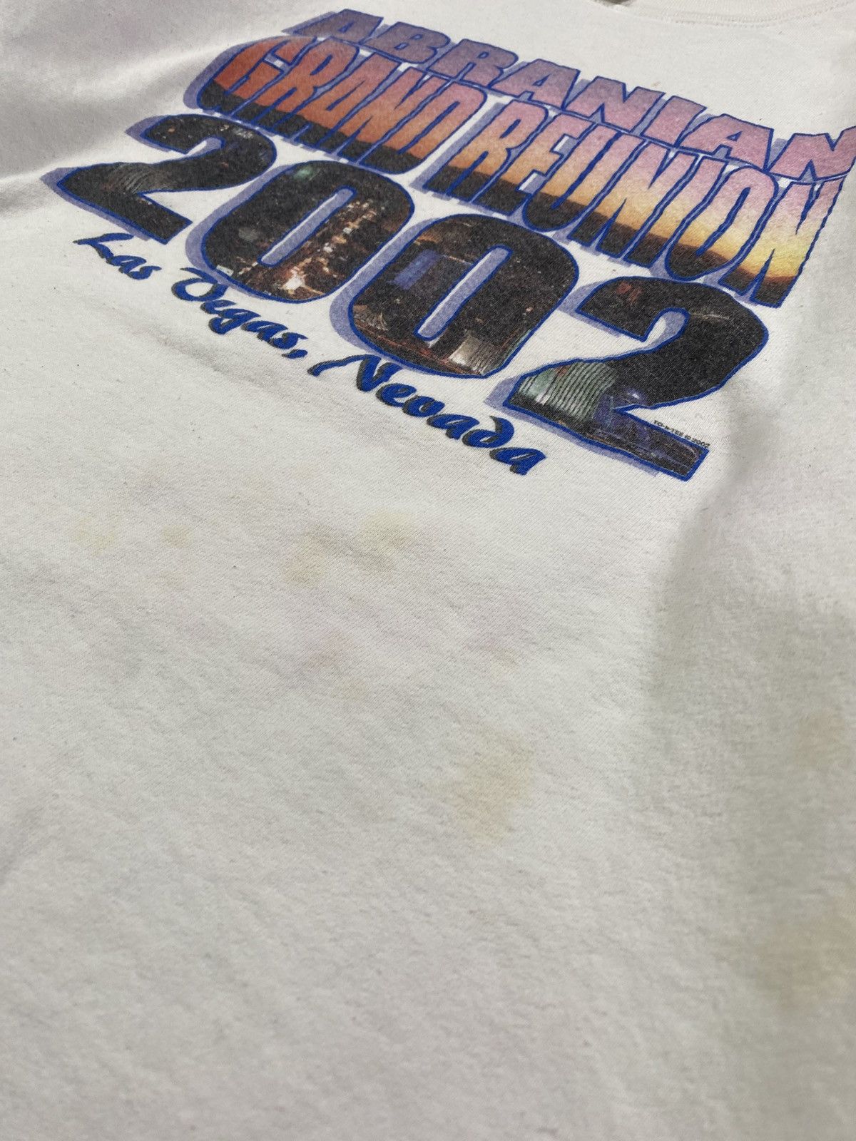 Fruit Of The Loom Vintage 2002 Abranian Grand Reunion Crewneck Size US M / EU 48-50 / 2 - 5 Thumbnail