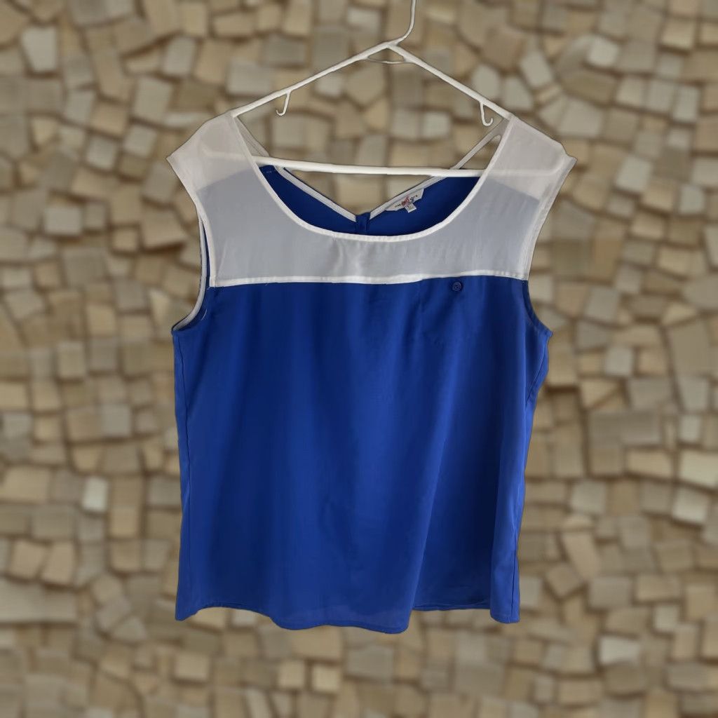 Vintage Naked Zebra Shirt Women's Large Blue Tank Top Semi Sheer Buttons Up Back Blouse Womens Size L / US 10 / IT 46 - 1 Thumbnail