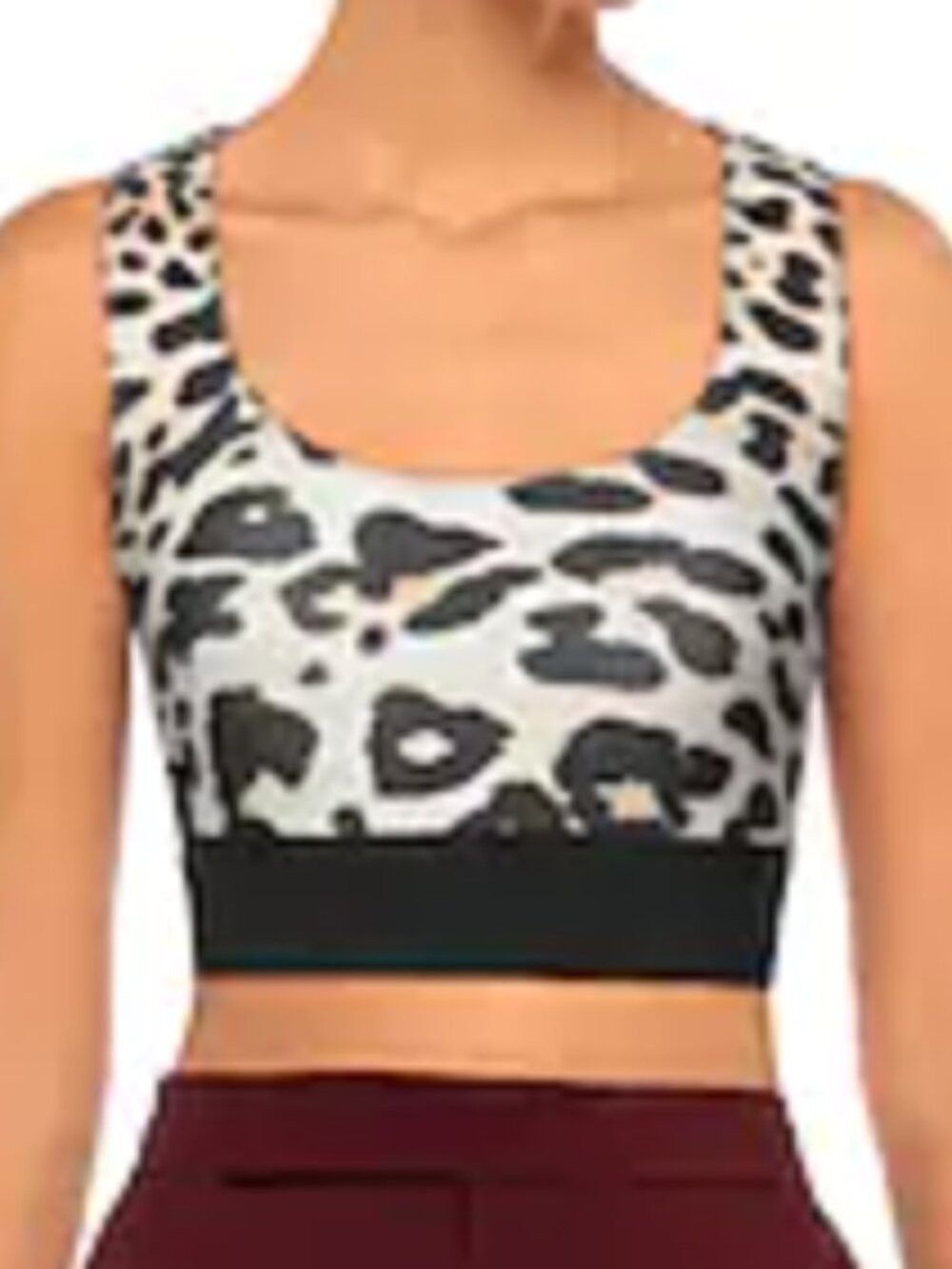 Paco Rabanne Rabanne Leopard-Print Jersey Crop Top Beige M Size M / US 6-8 / IT 42-44 - 1 Thumbnail