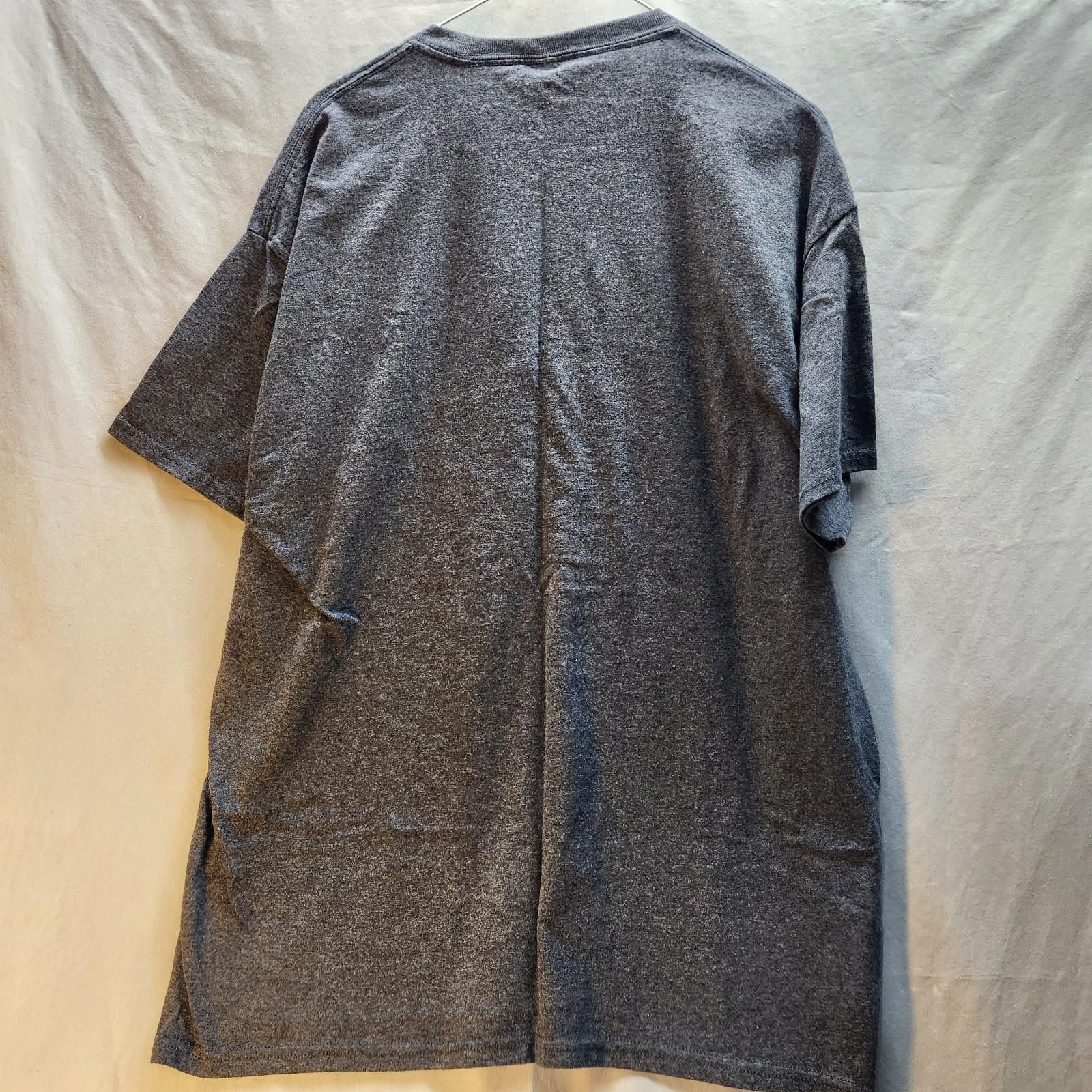 Jerzees Groundhog Day Pennsylvania Tshirt Size XL Size US XL / EU 56 / 4 - 4 Thumbnail