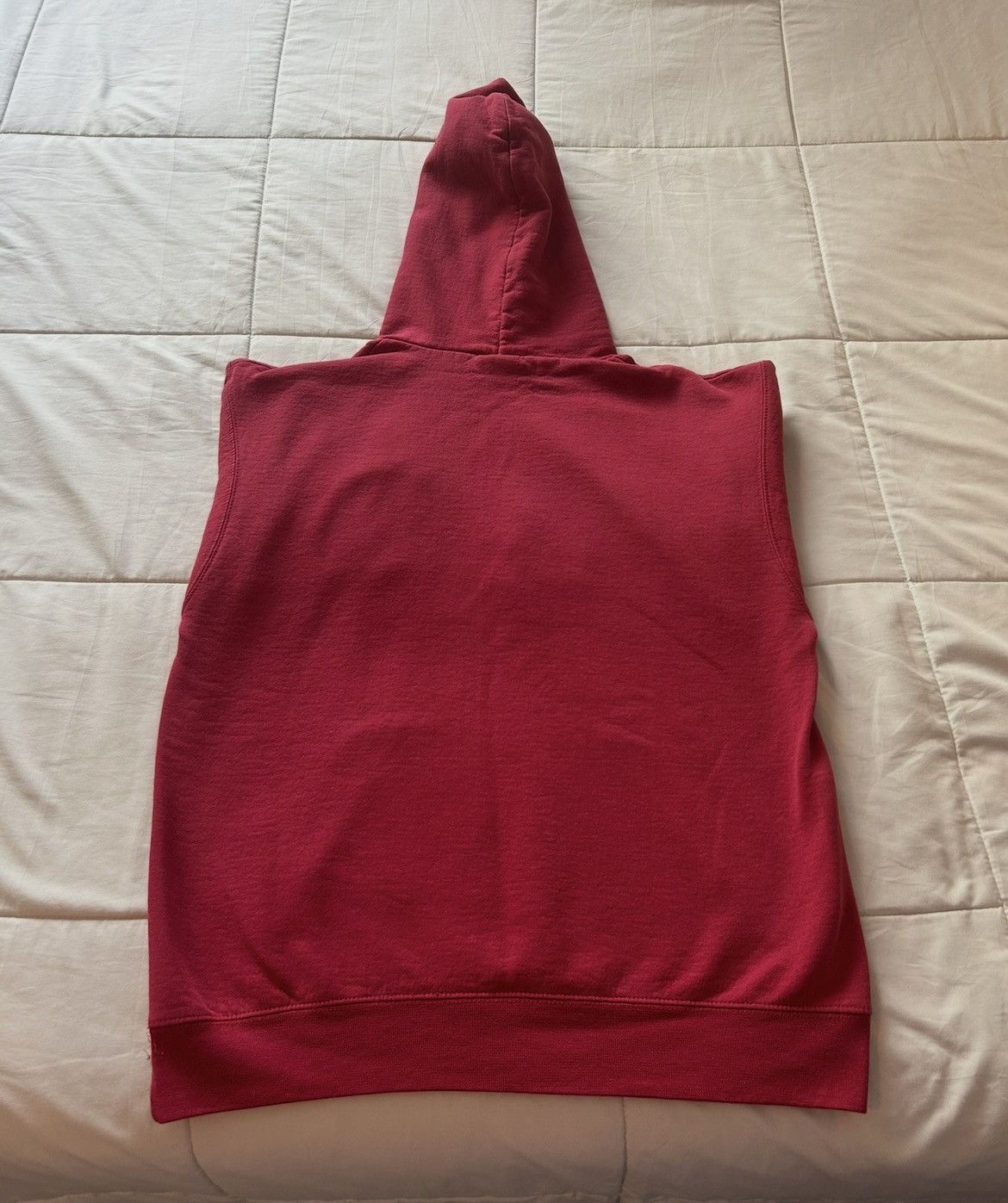 Champion University of Pennsylvania UPenn Champion Eco Fleece Hoodie Size US M / EU 48-50 / 2 - 2 Thumbnail