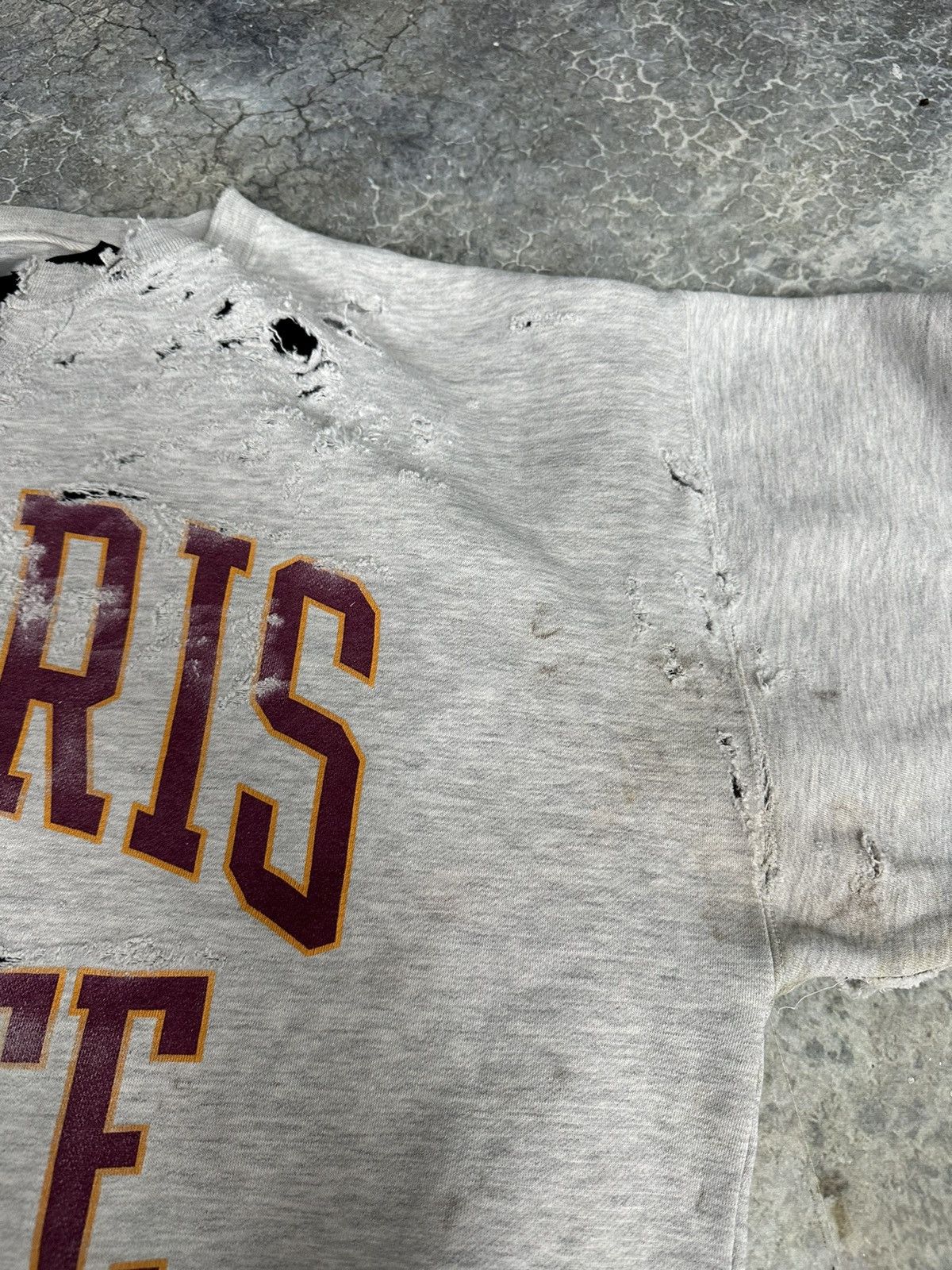 Vintage Perfect Thrashed Ferris State Crewneck Size US XL / EU 56 / 4 - 11 Thumbnail