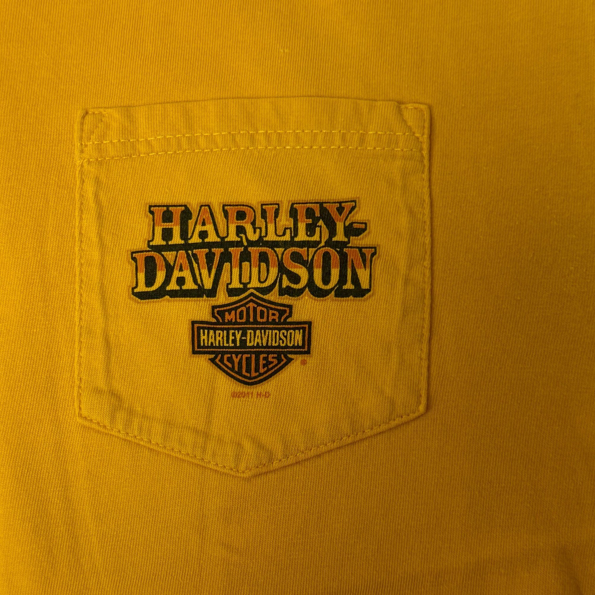 Harley Davidson H-D BLACK DIAMOND Marion IL Biker PINUP Coal Miner GIRL Tee Size US L / EU 52-54 / 3 - 4 Thumbnail
