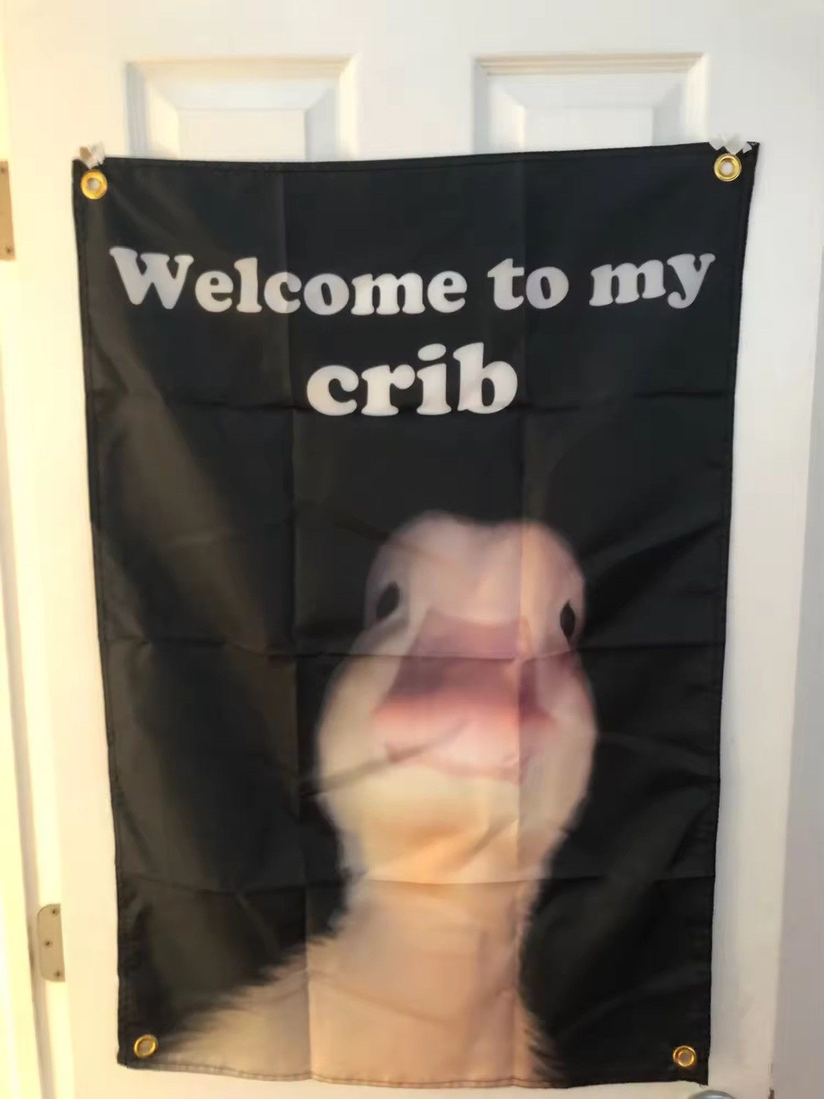 Other "Welcome to My Crib" Flag With Brass Grommet Decor Size ONE SIZE - 4 Thumbnail