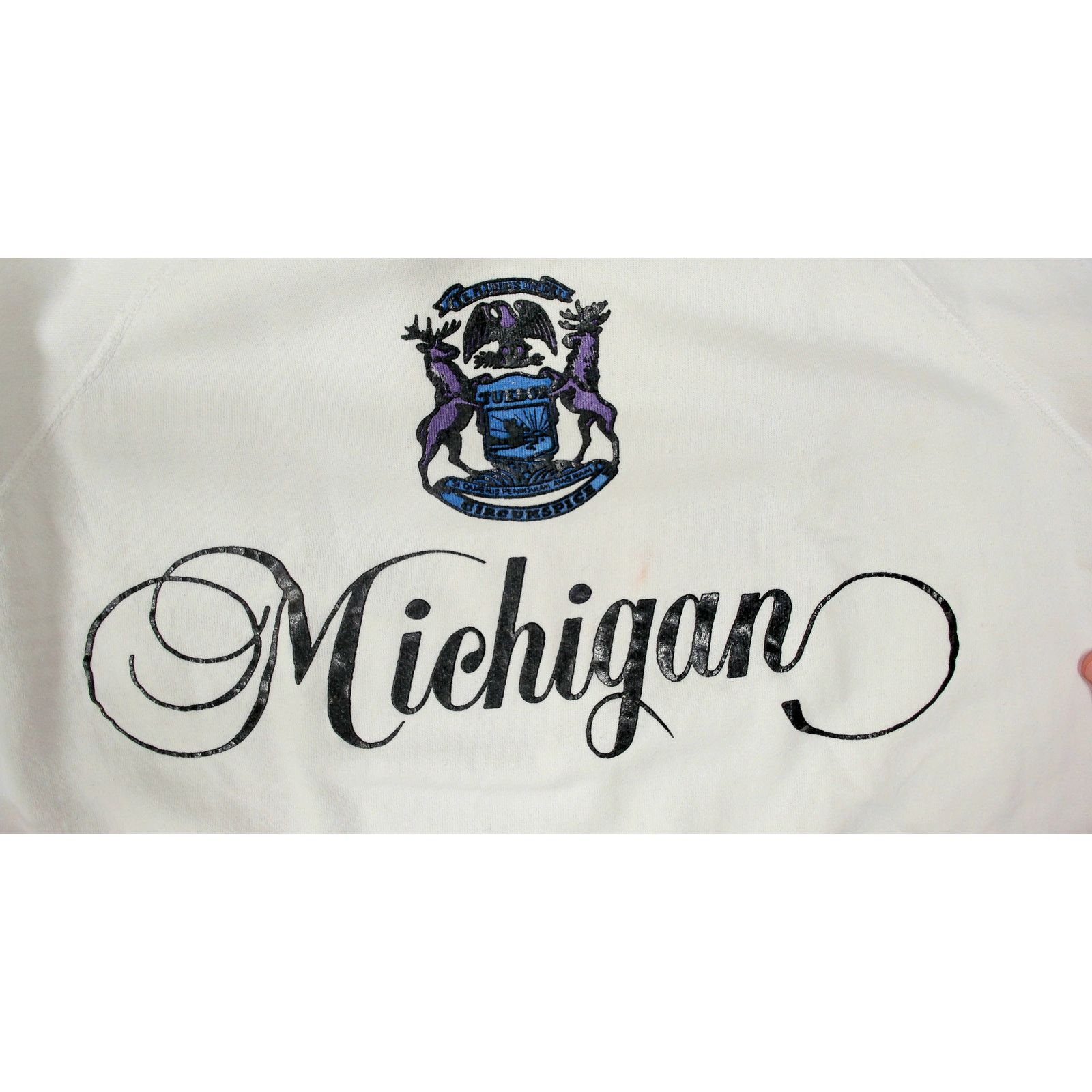 Hanes 80s Hanes Michigan State Seal Custom Cutoff Boxy Sweatshirt Size US XL / EU 56 / 4 - 6 Thumbnail