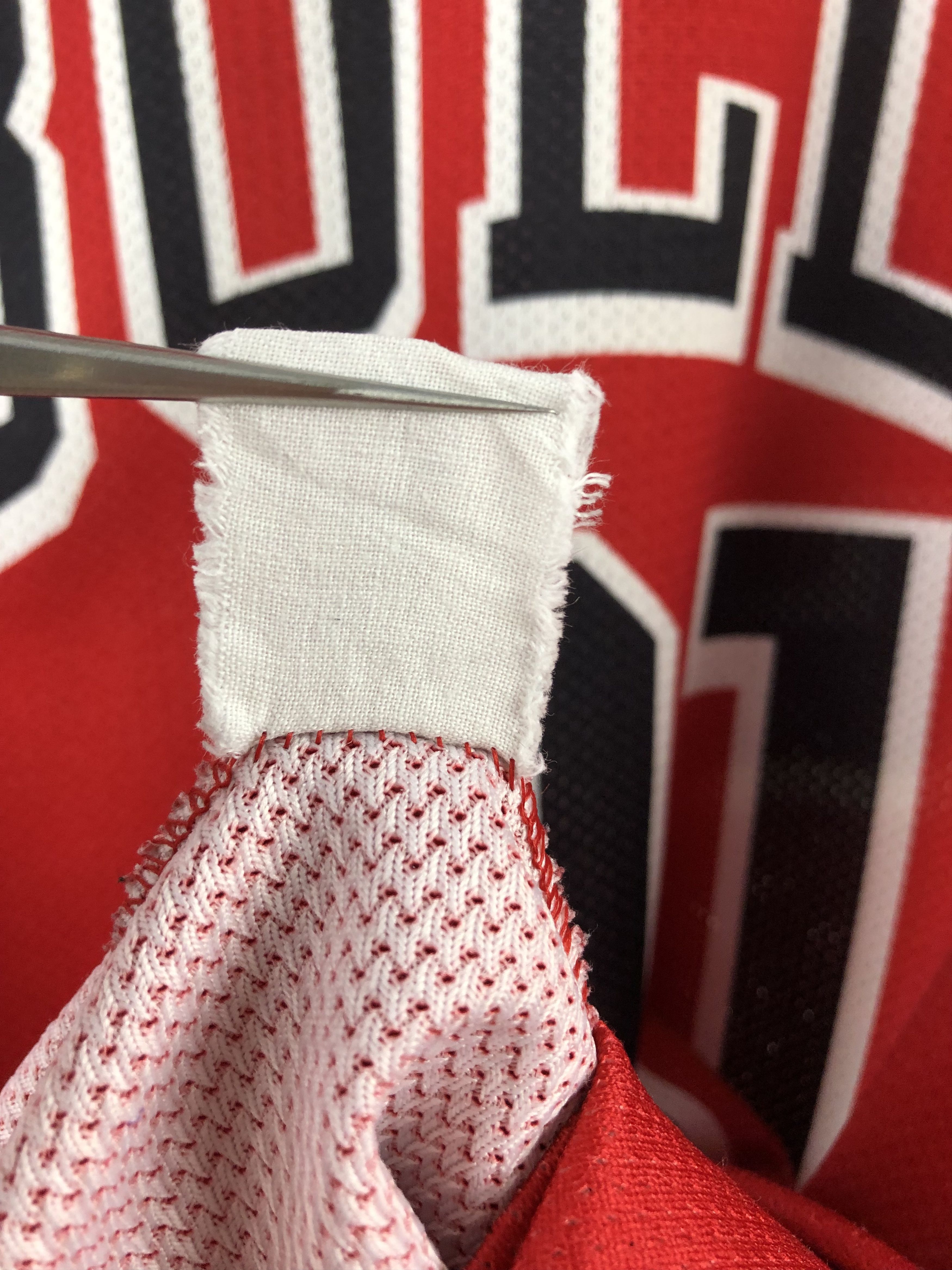 Champion Vintage 90's Champion Chicago Bulls Rodman Jersey Shirt Mens Size US XL / EU 56 / 4 - 9 Thumbnail