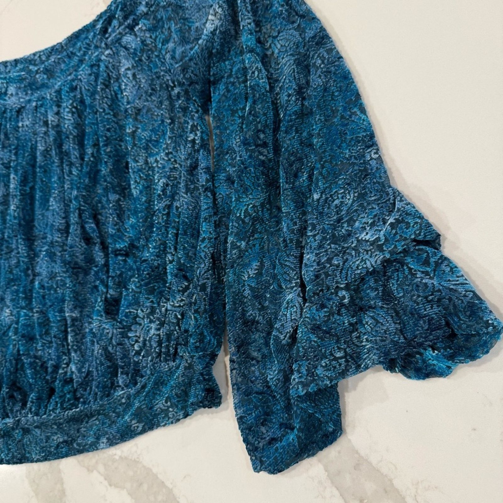 Free People Free People Ginger Berry Sheer Top Burnout Velvet Women’s M Size M / US 6-8 / IT 42-44 - 6 Thumbnail