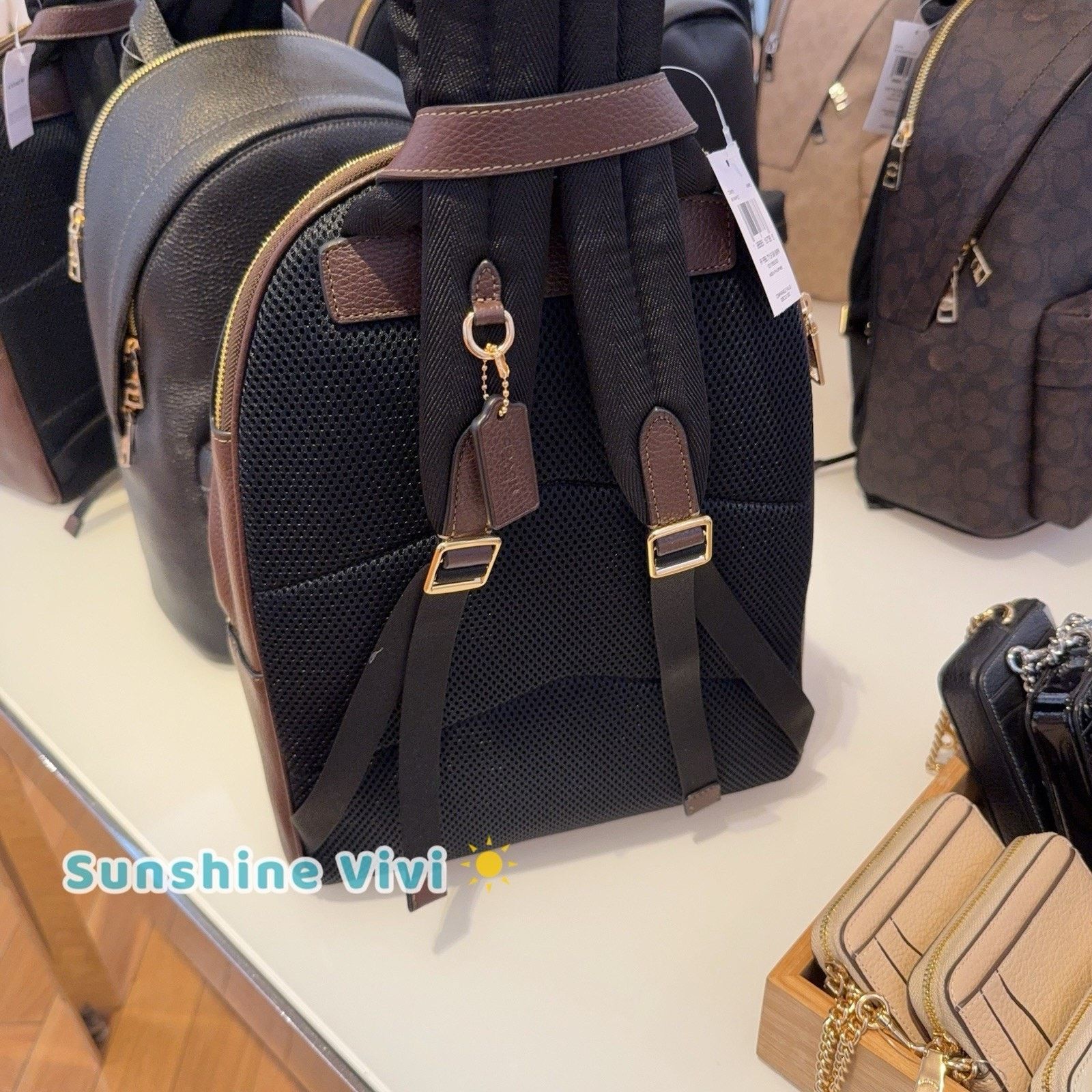 Coach NWT Coach Taylor Small Backpack In Leather CDW78 Gold/Maple Size ONE SIZE - 2 Thumbnail
