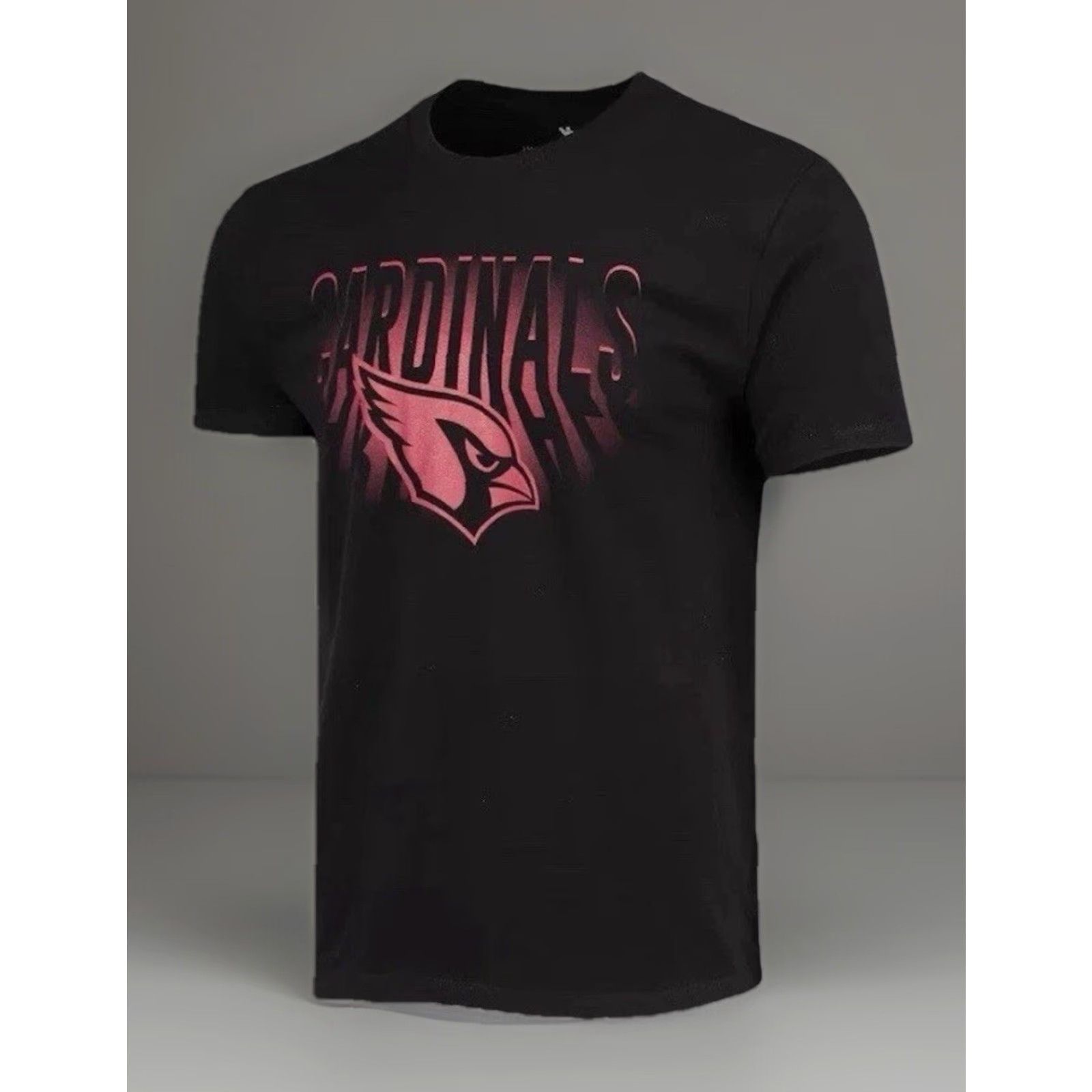 Junk Food BLACK LOGO AZ CARDINALS JUNK FOOD NFL MEN'S REGULAR T-SHIRT SIZE L User: BLACK LOGO AZ CARDINALS JUNK FOOD NFL MEN'S T-SHIRT SIZE L Size US L / EU 52-54 / 3 - 2 Thumbnail