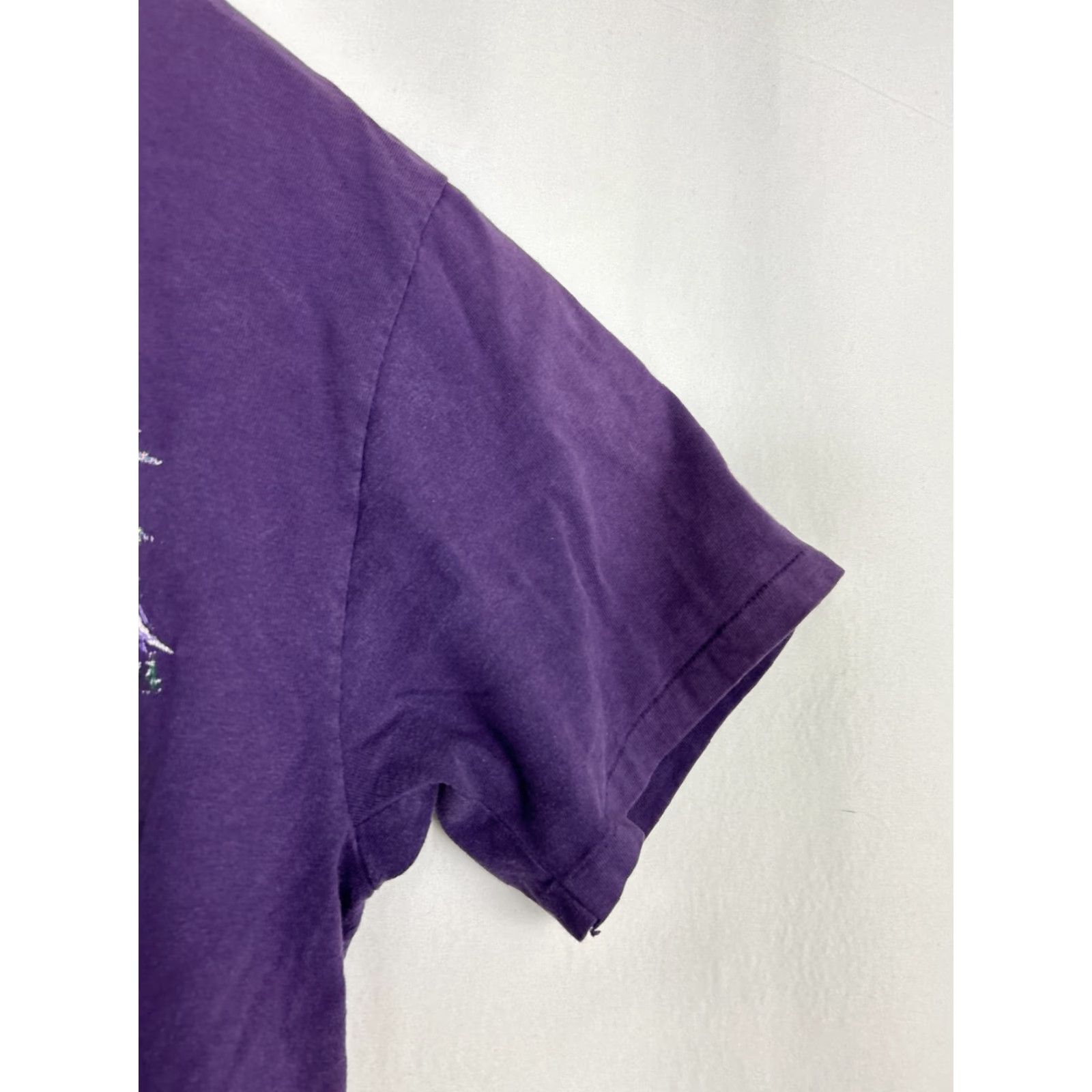 Hanes VINTAGE Hanes Mountain Spirit Utah Landscape 1993 Tee T-Shirt Women L Purple 1990s Cotton Nature Shirt Size L / US 10 / IT 46 - 6 Thumbnail