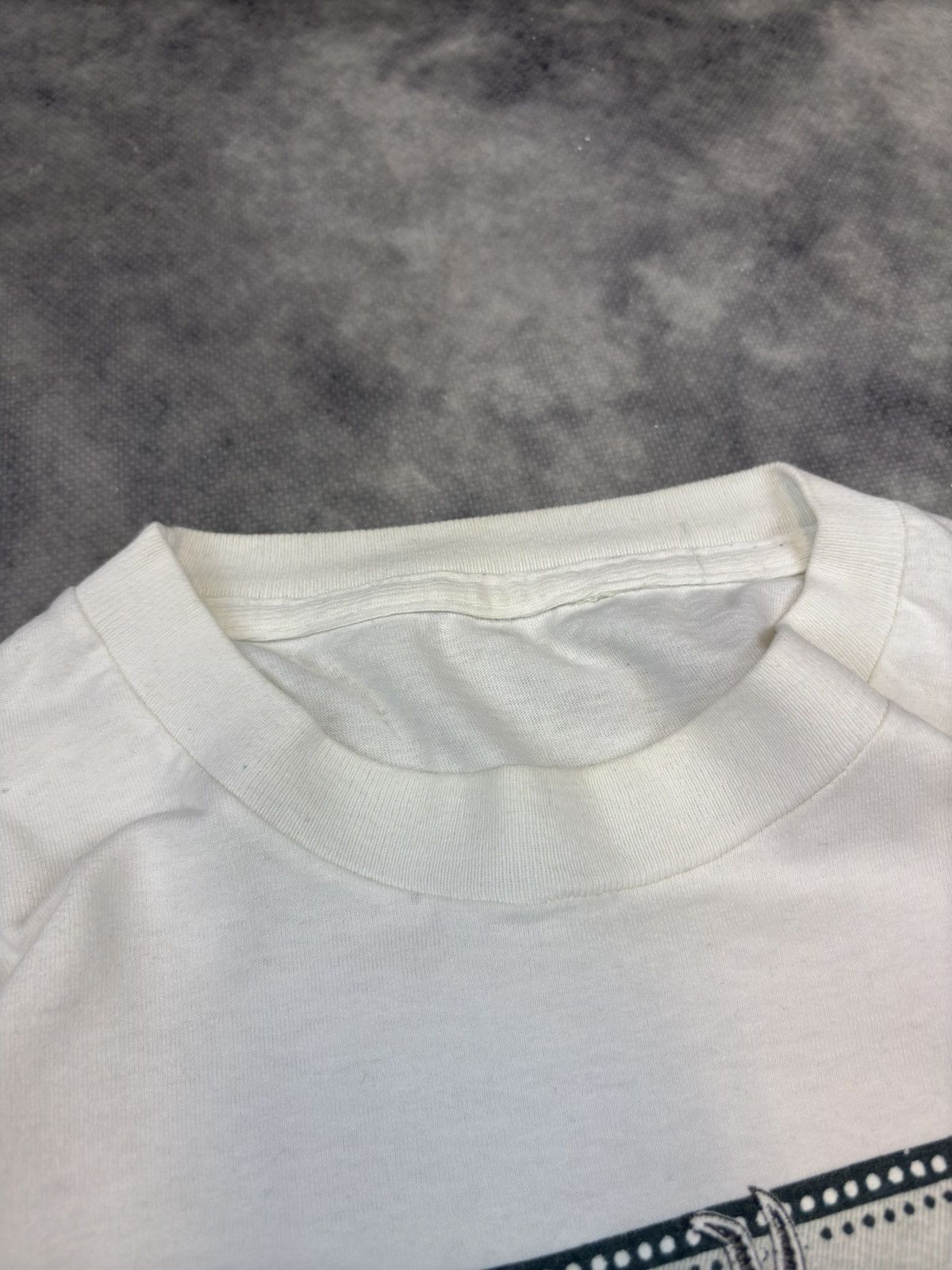 Other Mexico Iguana T shirt single stitch graphic animal nature Size US L / EU 52-54 / 3 - 4 Thumbnail