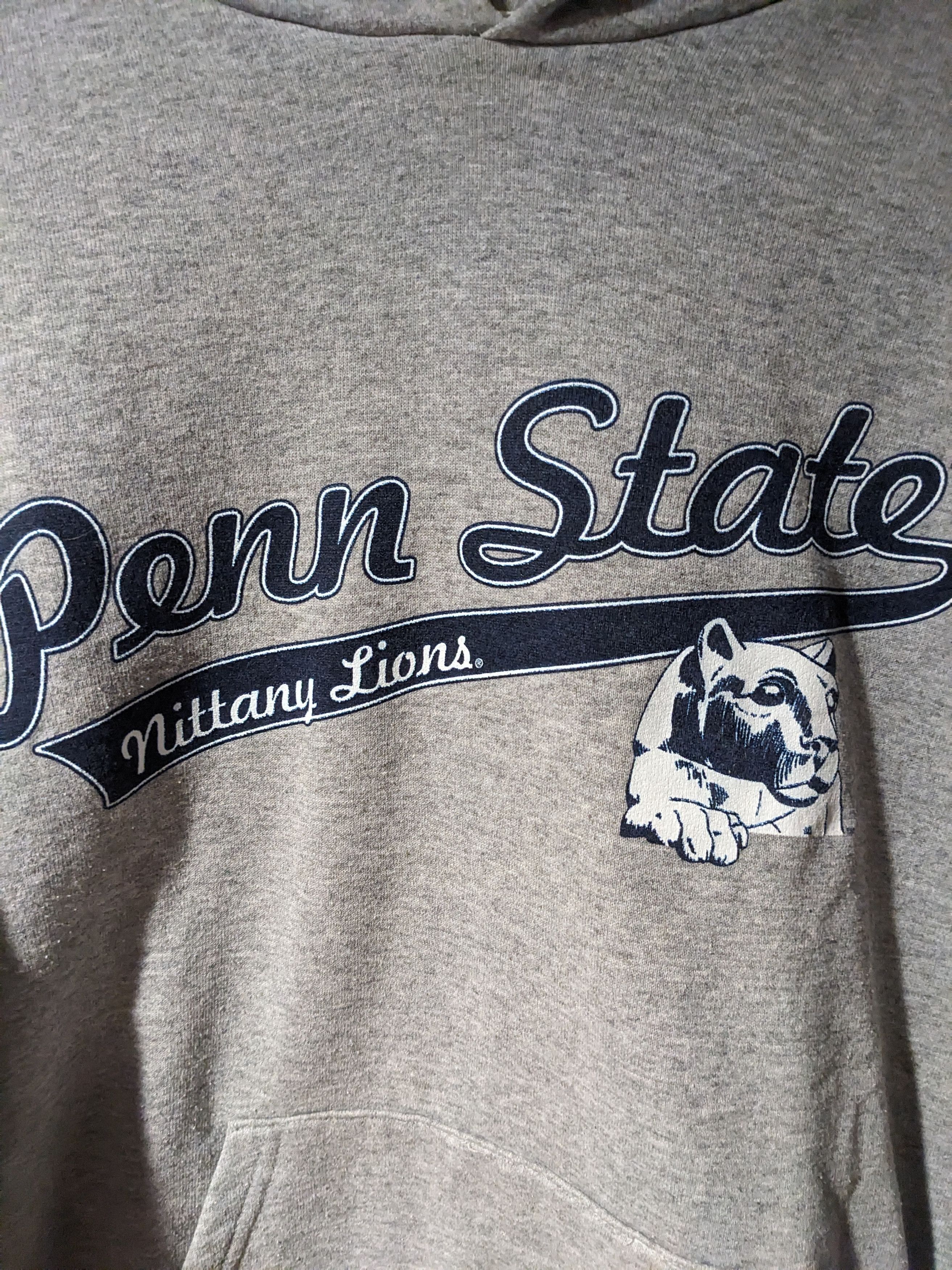 Vintage Vintage Y2K Penn State Nittany Lion College Football Hoodie Size US L / EU 52-54 / 3 - 2 Thumbnail