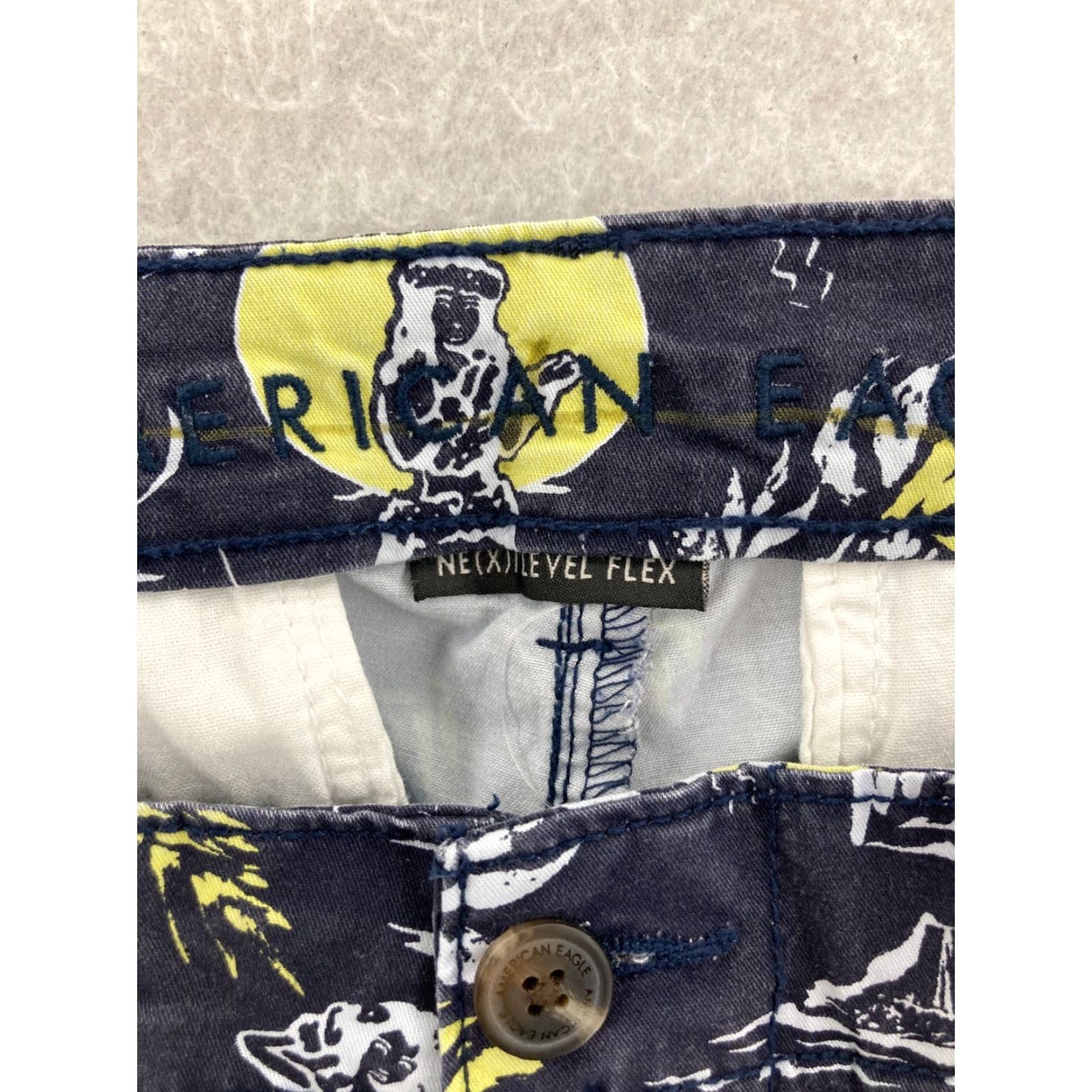 American Eagle Outfitters American Eagle Outfitters Chino Shorts Mens 29 Floral Multicolor Casual Aloha Size US 29 - 6 Thumbnail