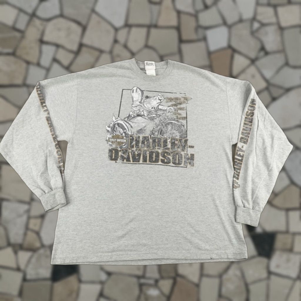 Vintage Harley-Davidson Shirt Mens XL Gray Yosemite California Cartoon Biker Motorcycle Looney Tunes Y2K Graphic Print Crew Neck Long Sleeve T-Shirt