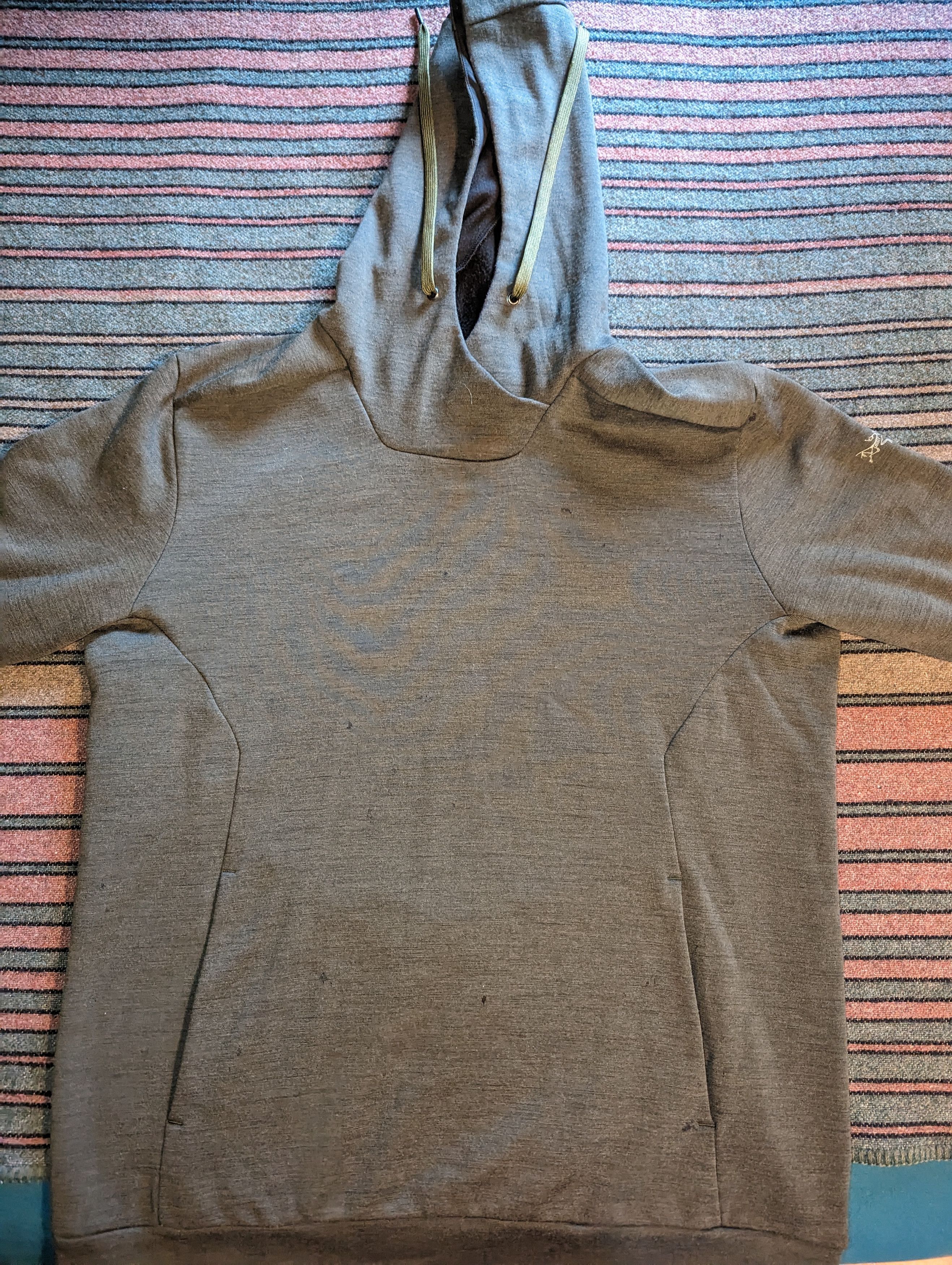 Arc'teryx Arc'teryx Elgin Hoodie *RARE* Size US L / EU 52-54 / 3 - 3 Thumbnail