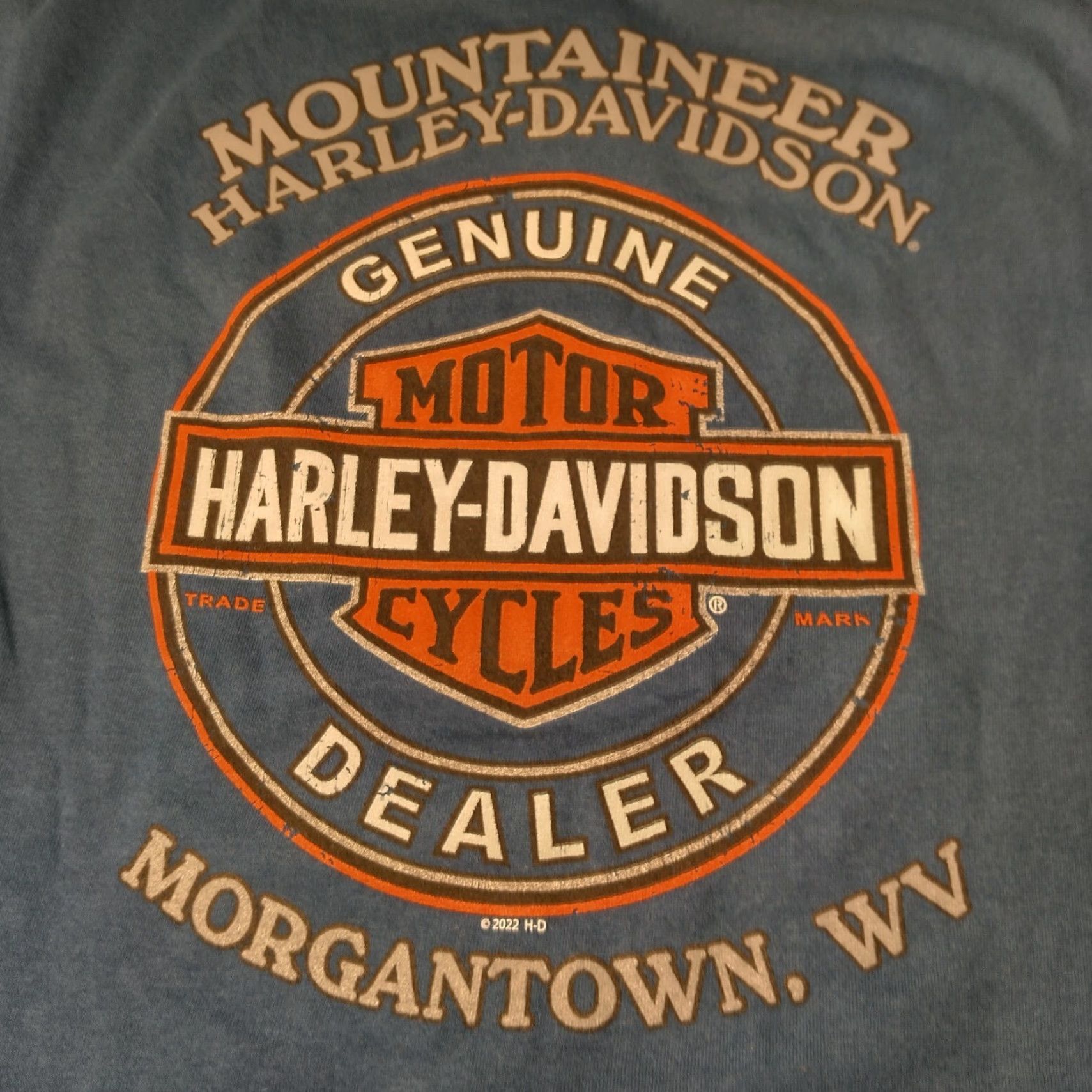 Harley Davidson Harley-Davidson Batman Shirt Small Blue Mountaineer Joker Run Harley-Davidson T-Shirt Men Size US S / EU 44-46 / 1 - 4 Thumbnail