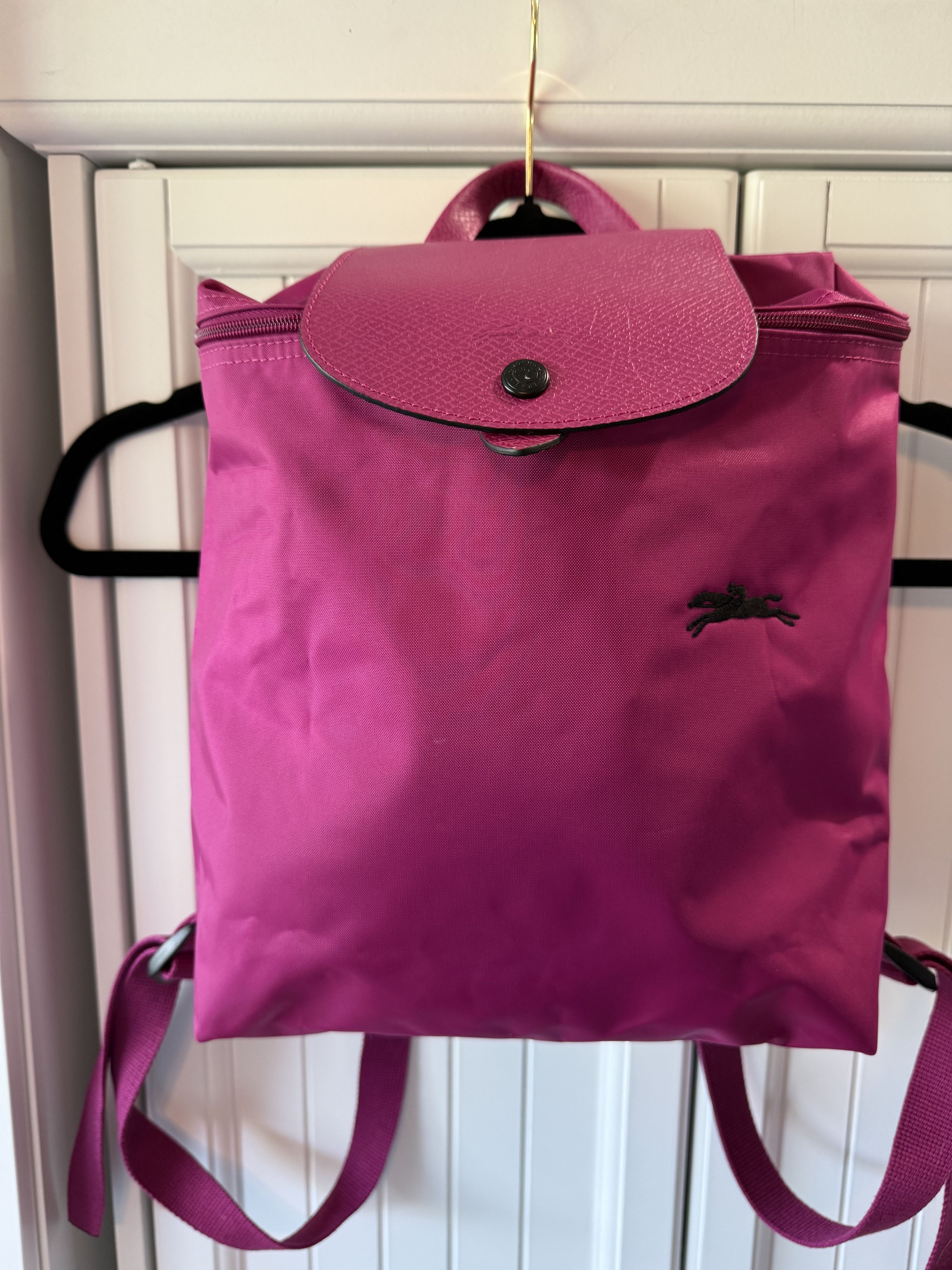 Longchamp Longchamp Le Pliage Small Backpack recycled nylon EUC Size ONE SIZE - 1 Thumbnail