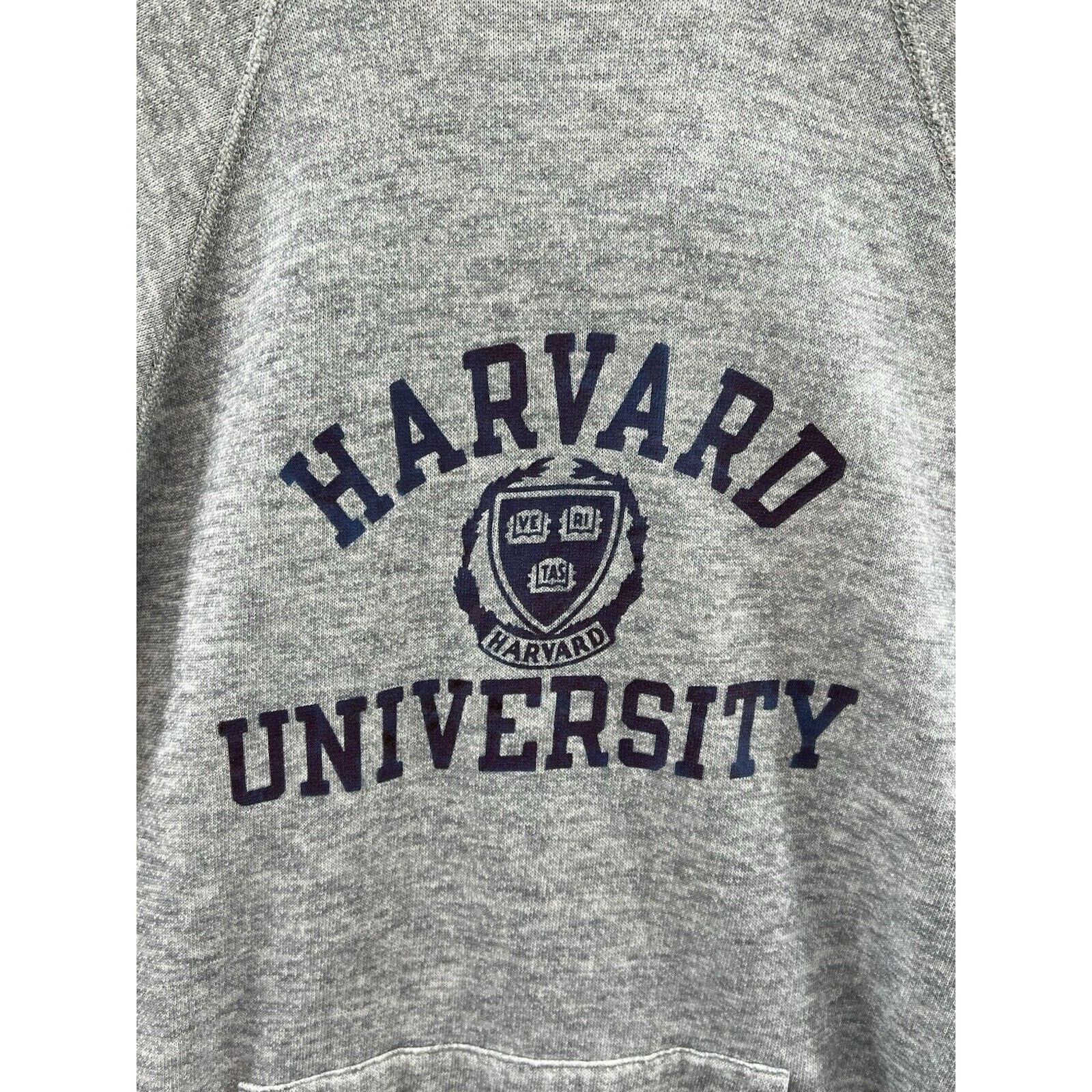 Champion Champion Harvard University Heather Gray Hoodie Men’s Medium Size US M / EU 48-50 / 2 - 4 Thumbnail