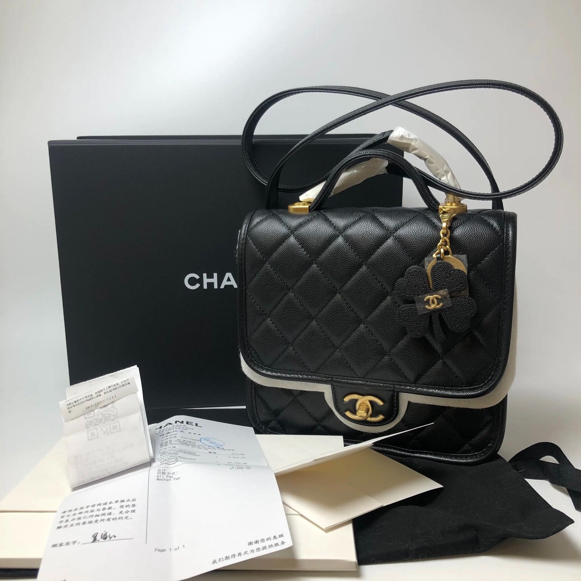 Chanel Pre-loved Bag Brand new condition Size ONE SIZE - 1 Thumbnail