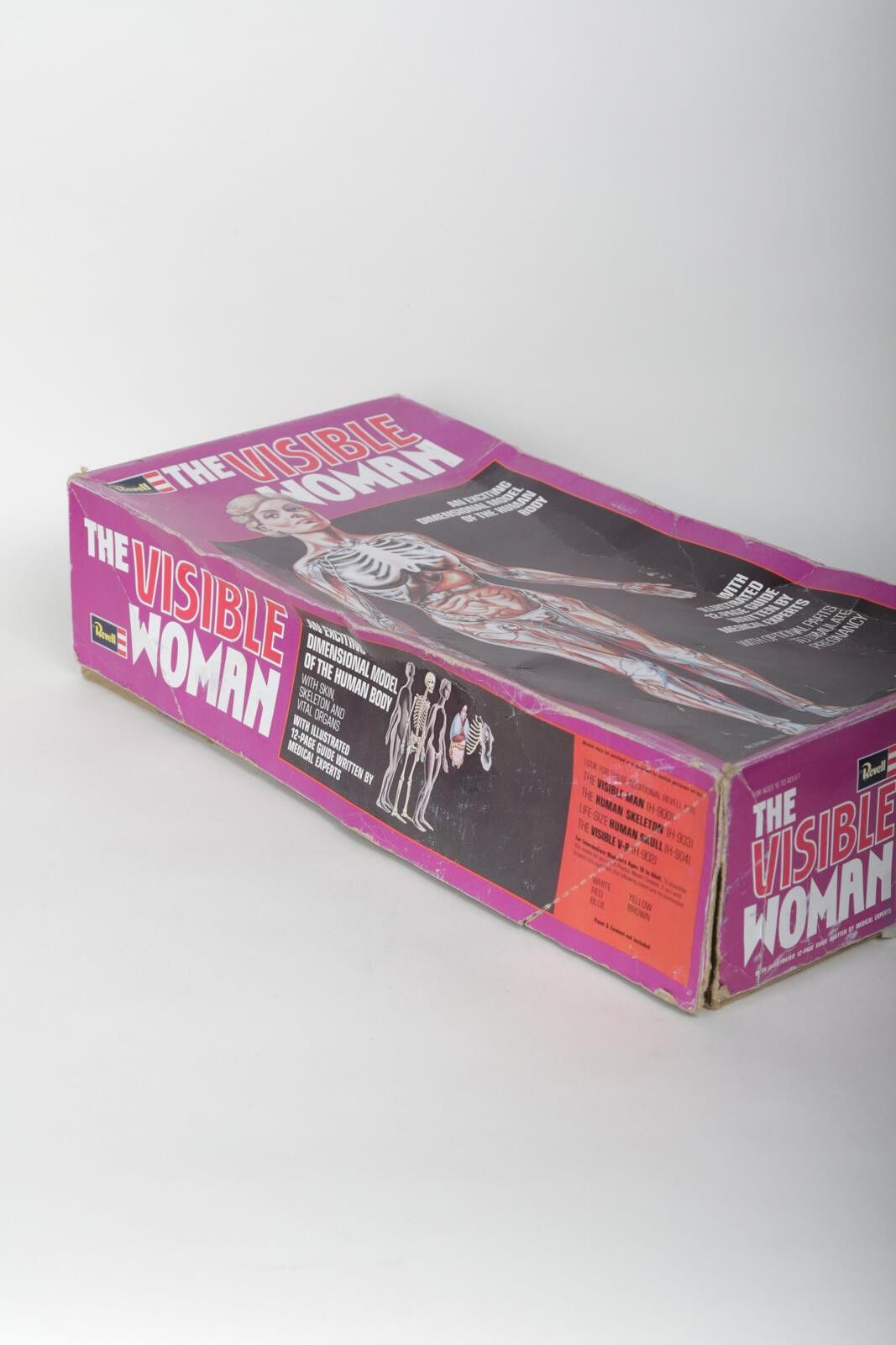 Other 60's Renwal The Invisible Woman Anatomy Model Kit Size ONE SIZE - 4 Thumbnail