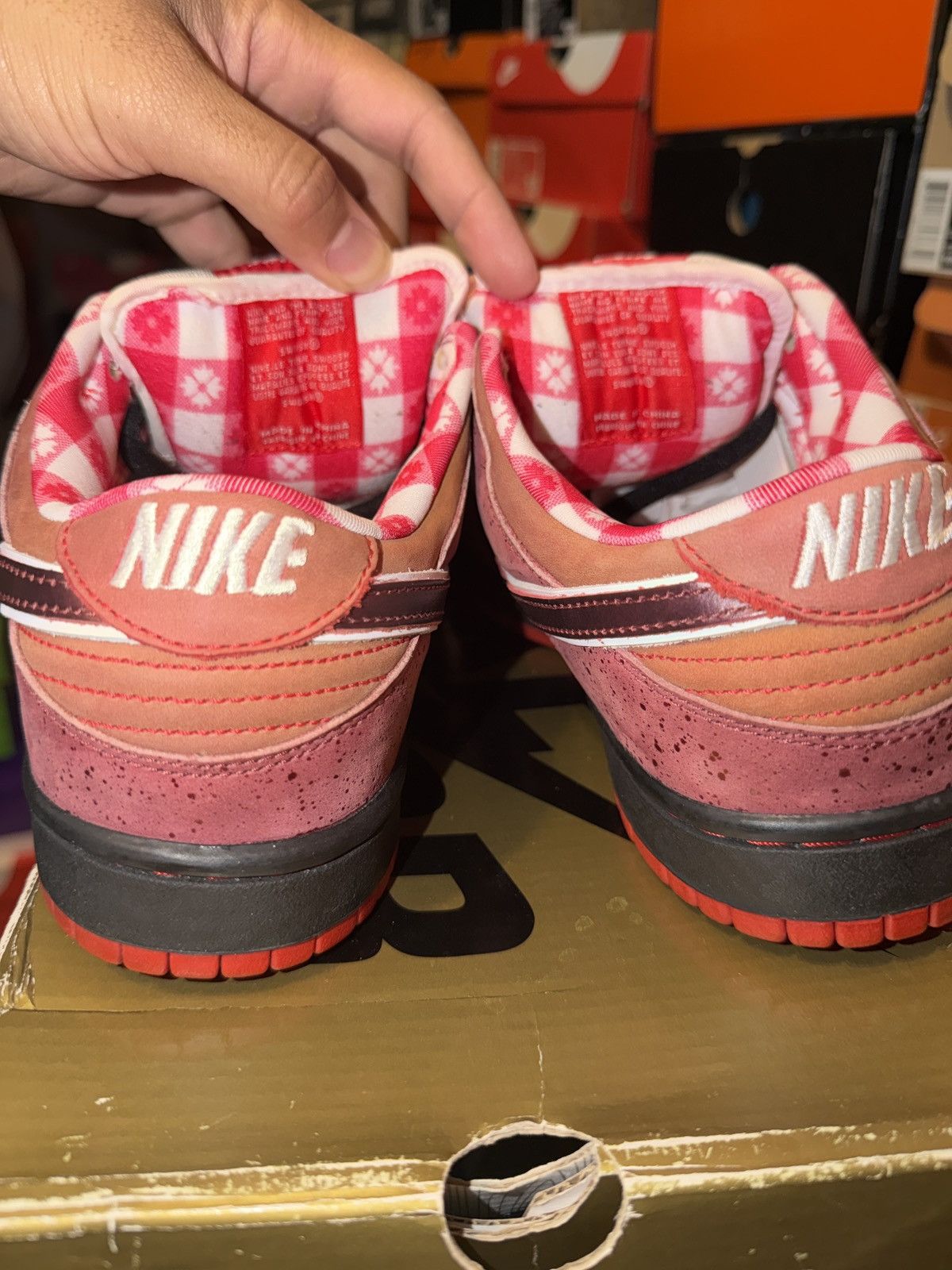 CNCPTS × Nike Nike dunk low premium SB “RED LOBSTERS” Size US 9.5 / EU 42-43 - 9 Thumbnail