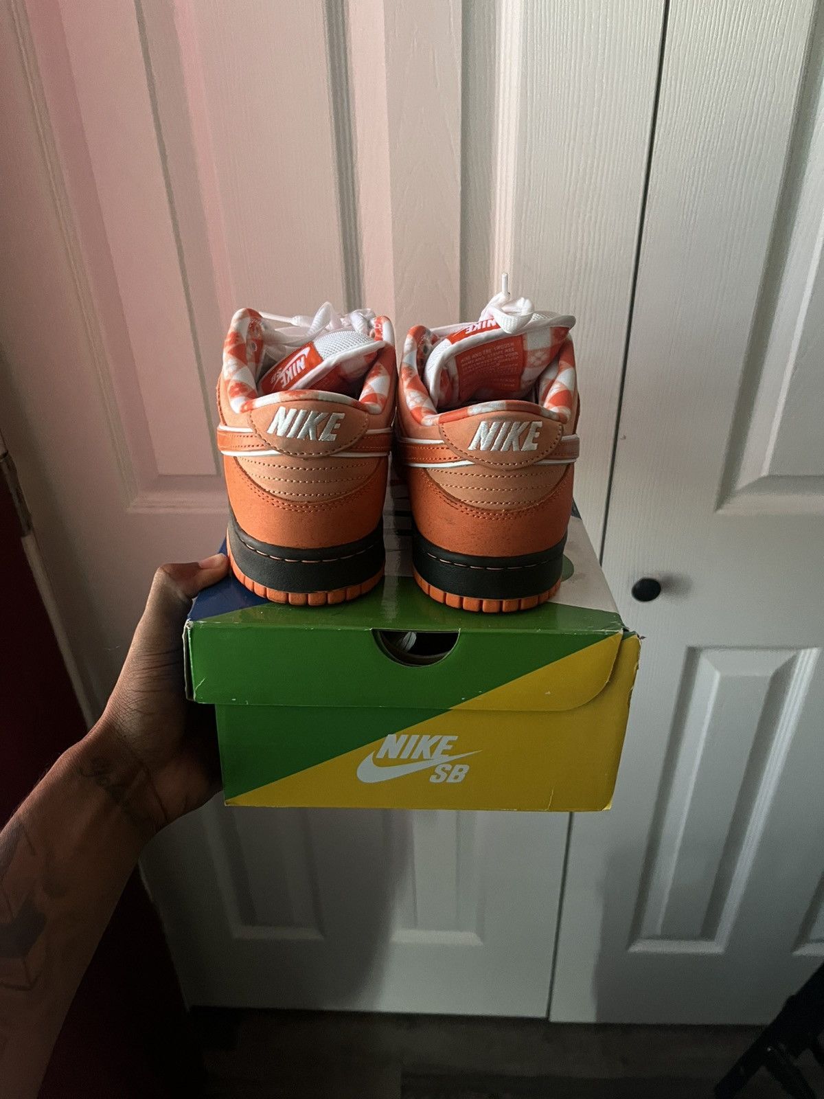 CNCPTS × Nike Nike Lobster SB Size US 9 / EU 42 - 13 Thumbnail