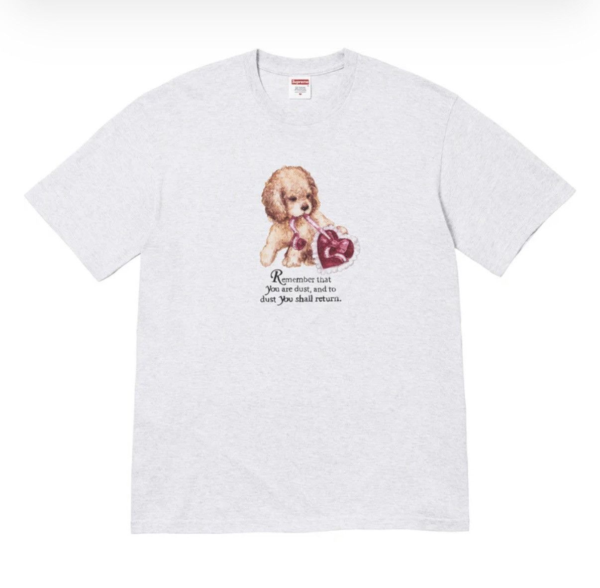 Supreme dust tee