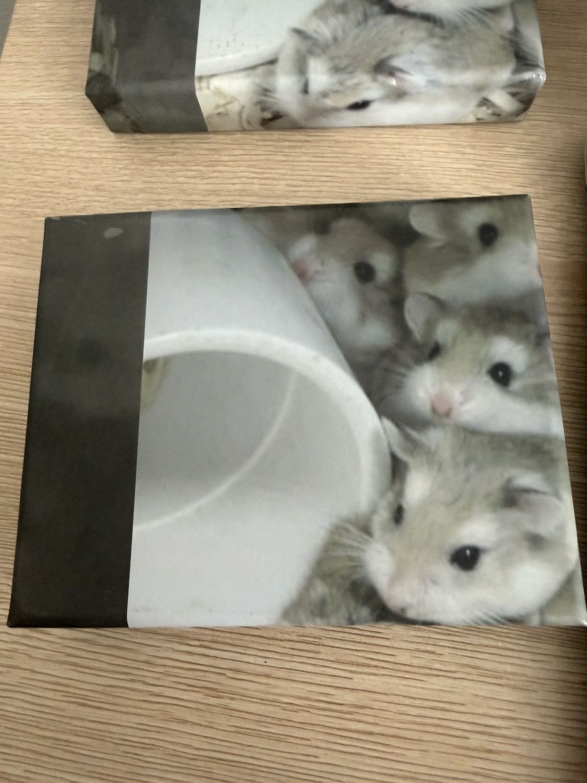 Imran Potato Imran potato gerbil wallet Size ONE SIZE - 3 Thumbnail