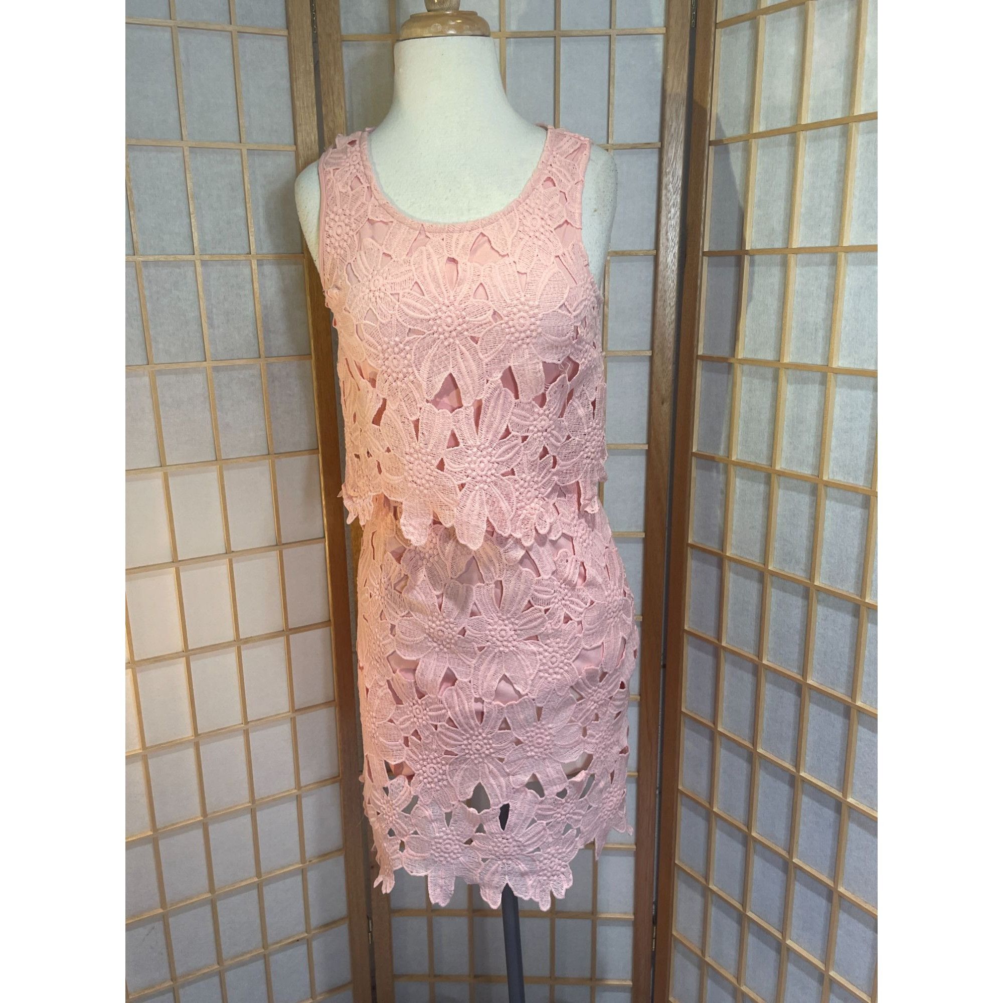 Other Francesca's Miami Sm Lace Floral Dress Size S / US 4 / IT 40 - 7 Thumbnail