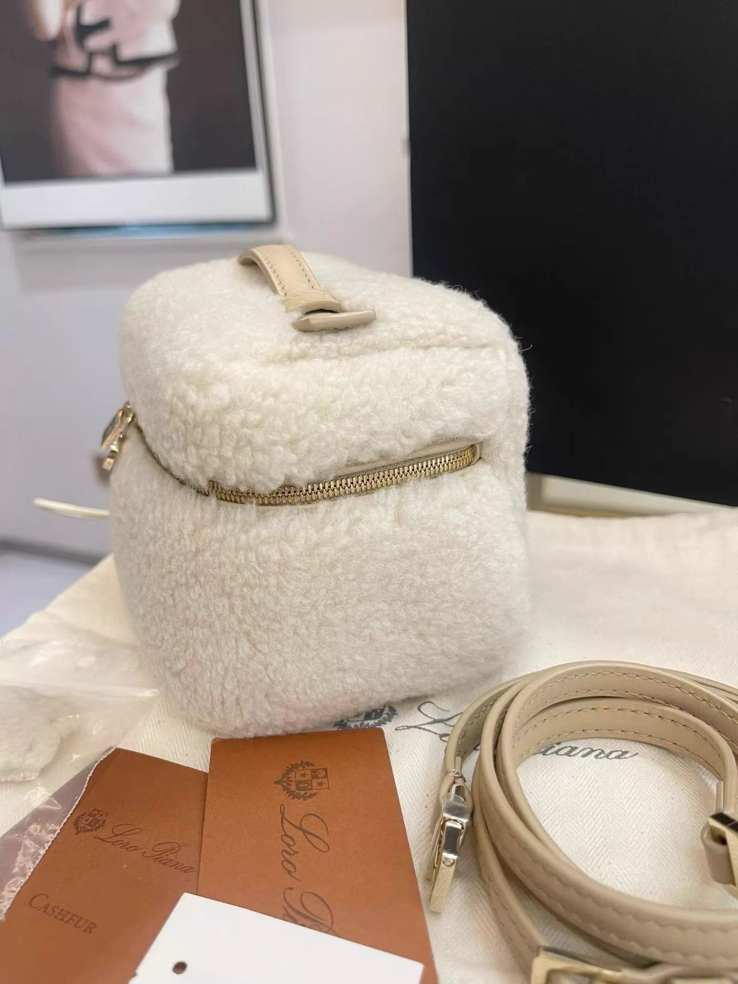 Loro Piana Loro Piana Extra Pocket 11.5 Cashfur 14x10x10 Size ONE SIZE - 6 Thumbnail