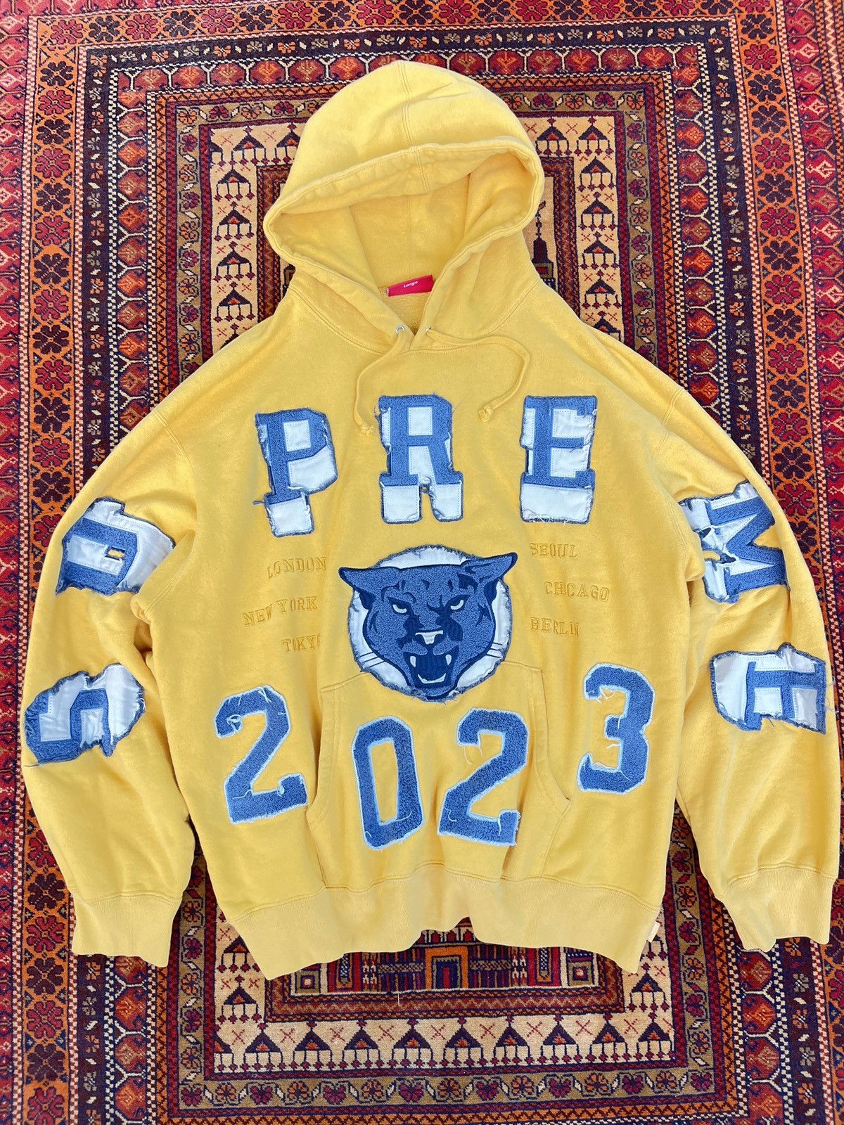 Supreme Supreme Washed Panther hoodie Size US L / EU 52-54 / 3 - 1 Thumbnail