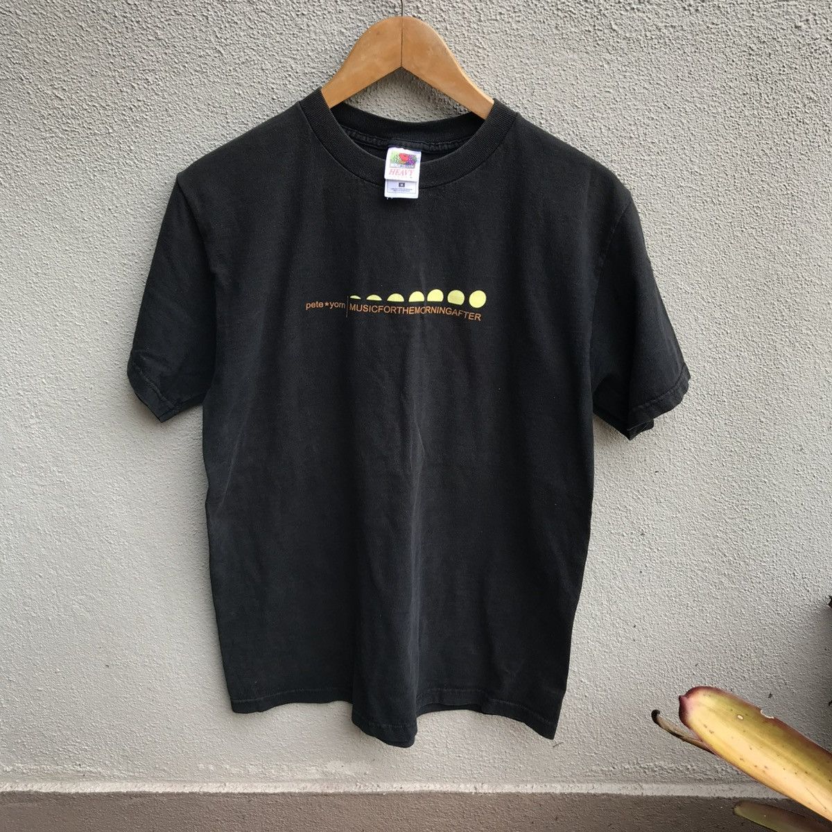 Vintage rare 00s PETE YORN tee indie rock