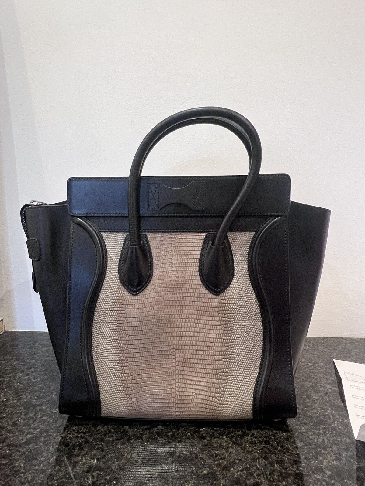 Celine Mini Luggage Leather and Lizard