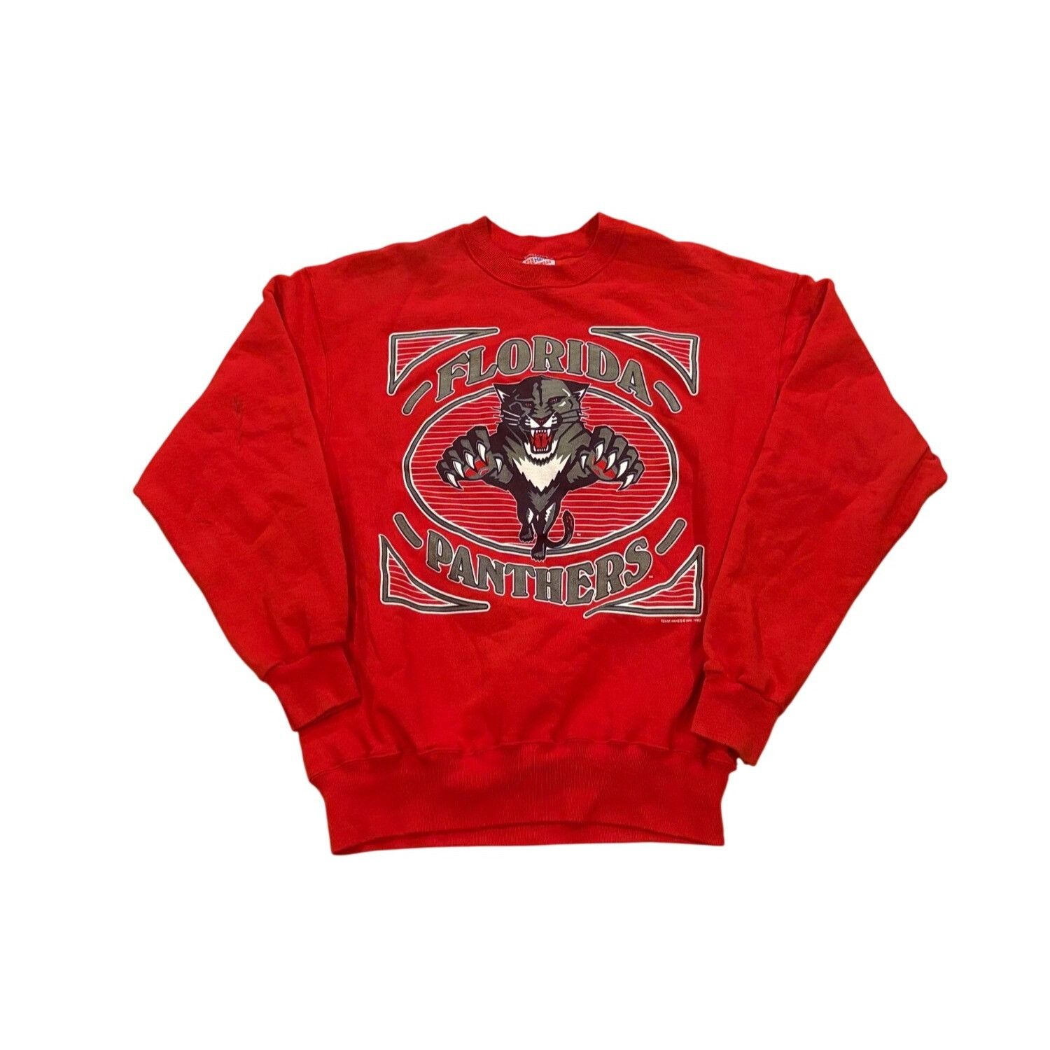 Hanes Vintage 1993 Florida Panthers NHL Hockey Pullover Crewneck S Size US XL / EU 56 / 4 - 1 Thumbnail
