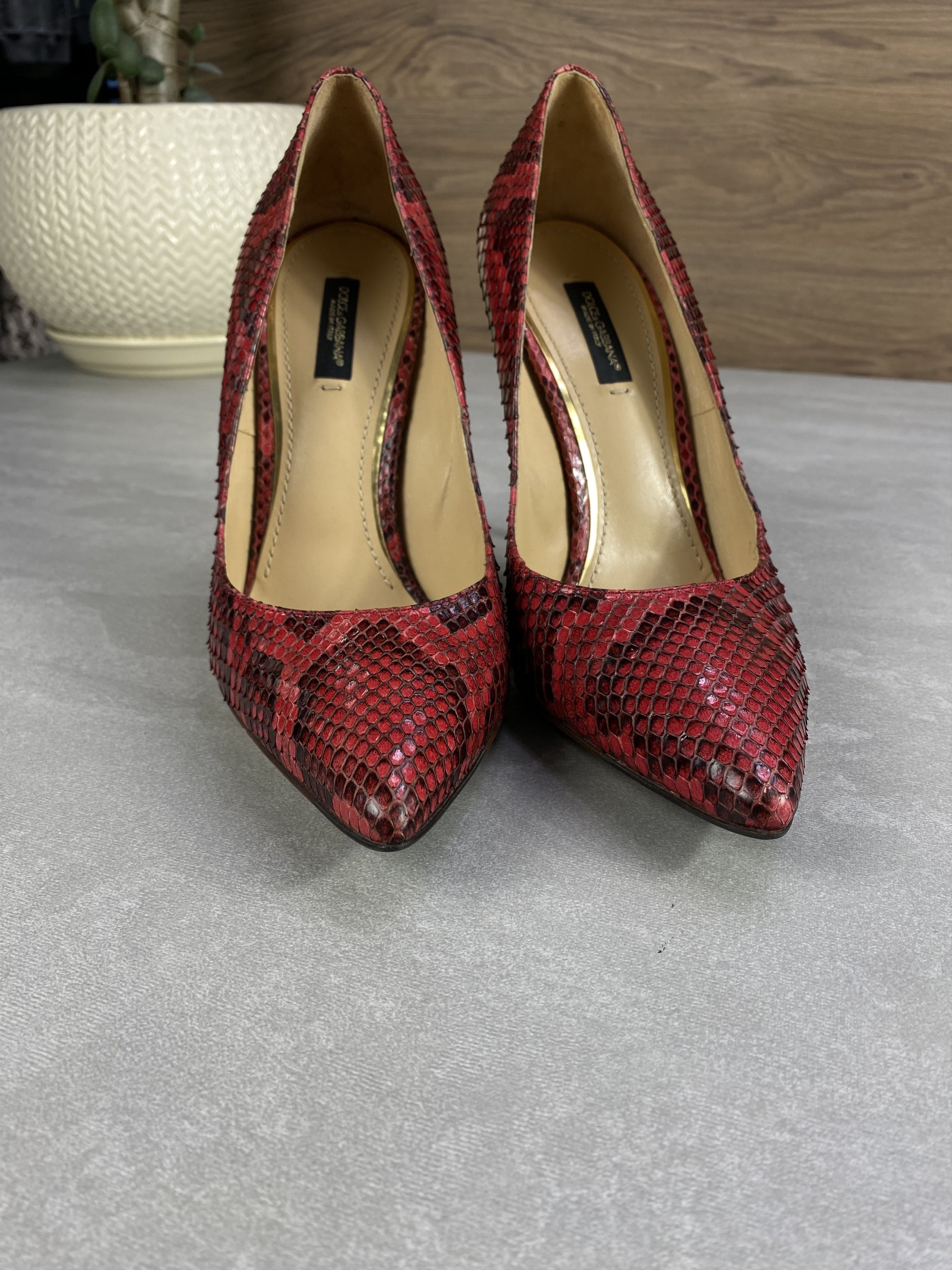 Dolce & Gabbana Dolce & Gabbana Red Python Pointed Toe Pumps Size 38 Size US 8 / IT 38 - 10 Thumbnail
