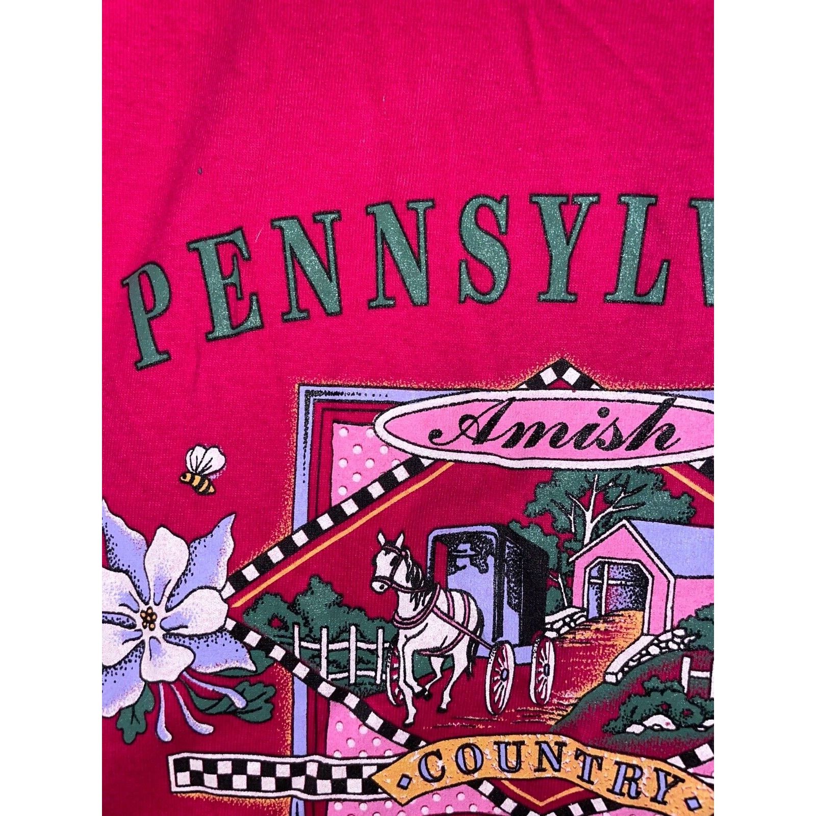 Jerzees Vintage Amish Shirt Pennsylvania Country Tee Pink VTG 90s L Size US L / EU 52-54 / 3 - 4 Thumbnail