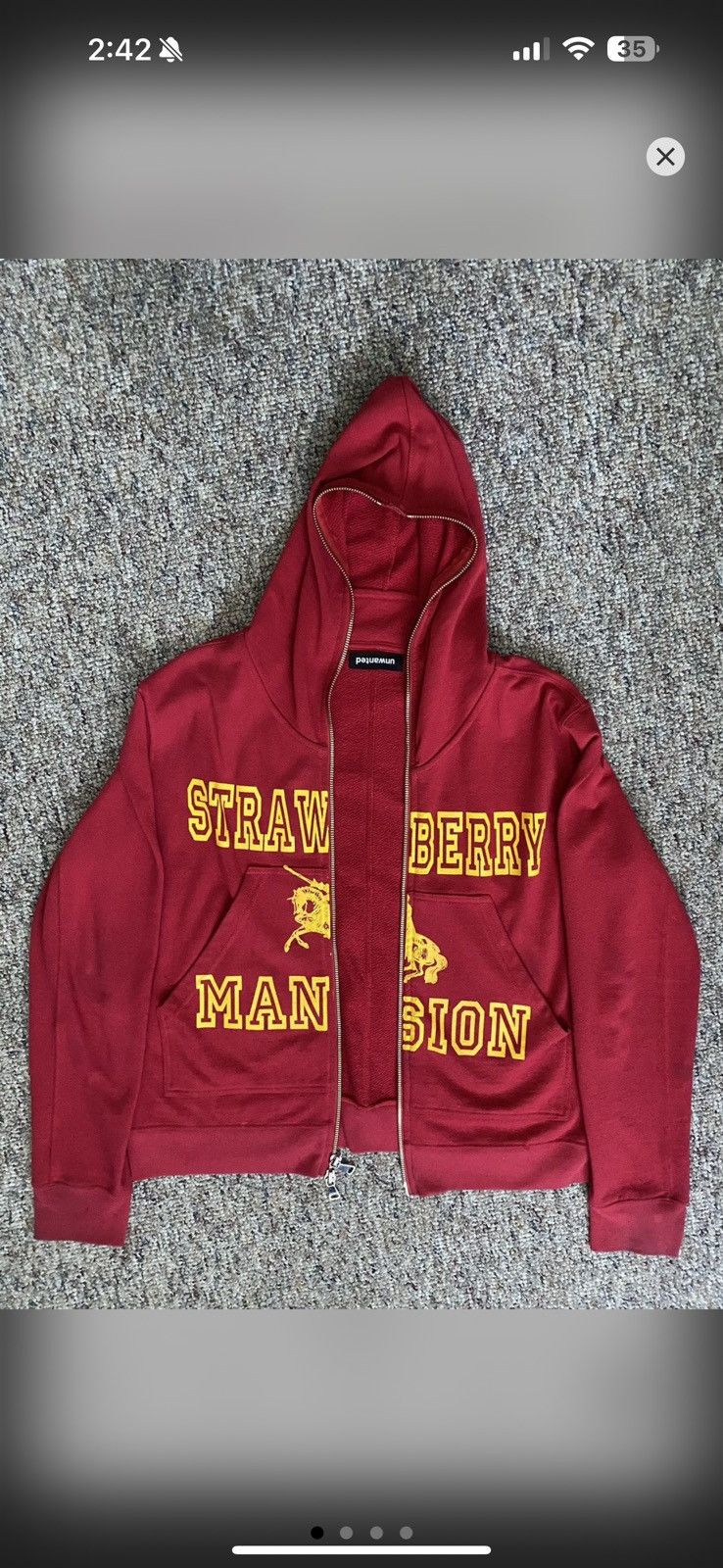 Strawberry mansion zip up
