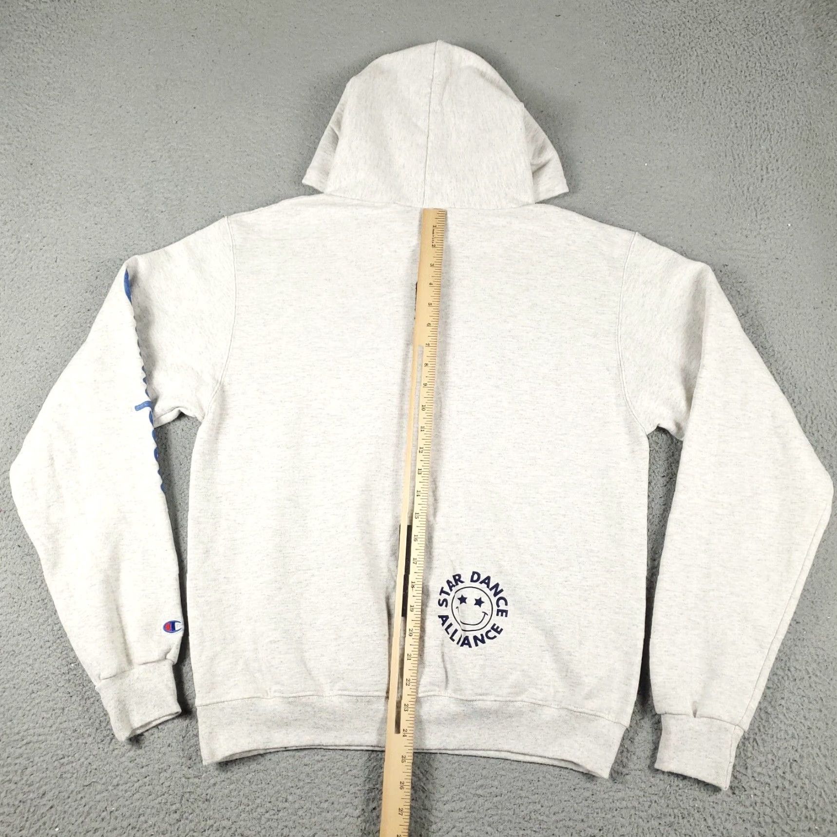 Champion Champion Pullover Hoodie Mens Medium Gray Fleece Sweatshirt Size US M / EU 48-50 / 2 - 7 Thumbnail