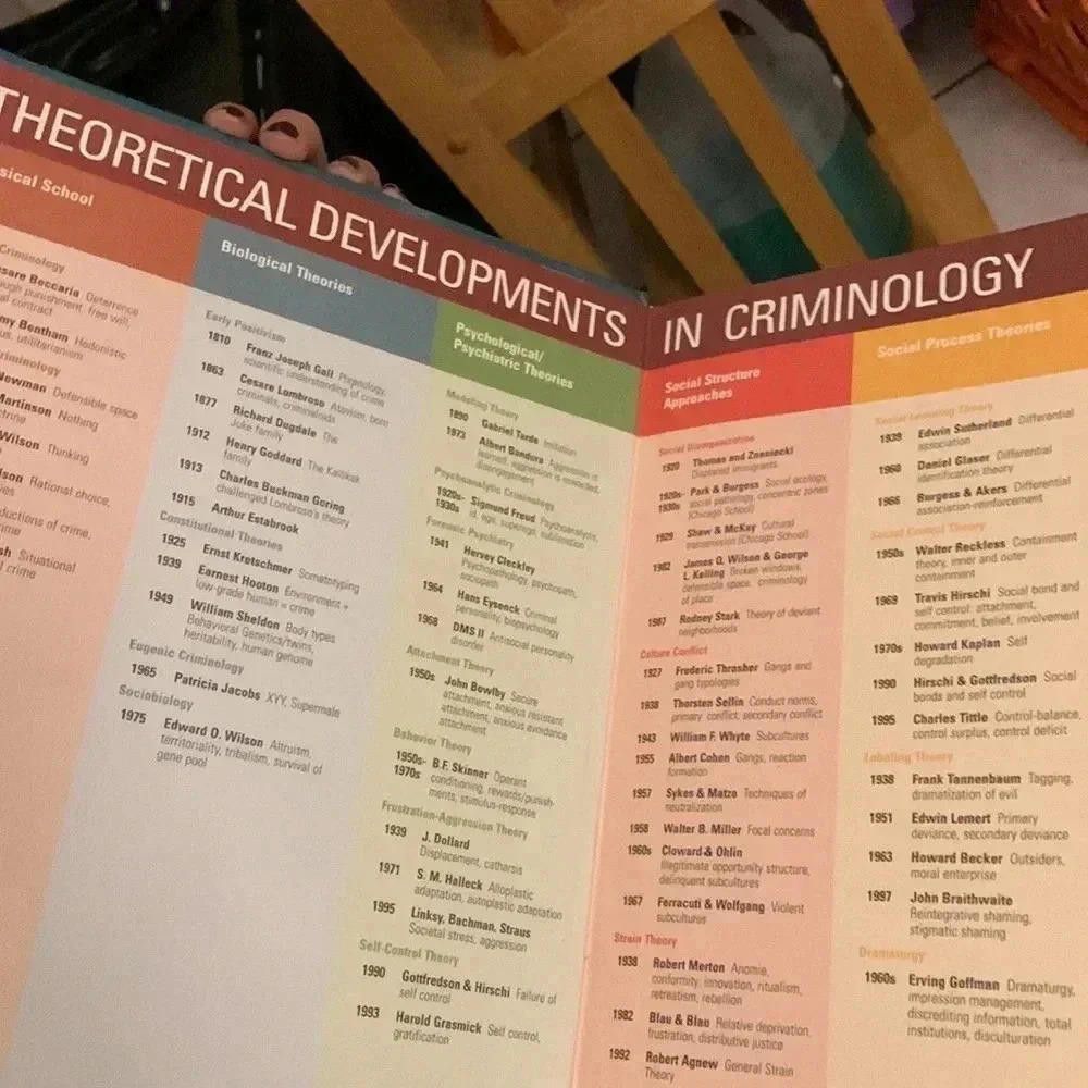Designer Criminology Today: An Integrative Introduction - 5th Edition Size ONE SIZE - 2 Thumbnail